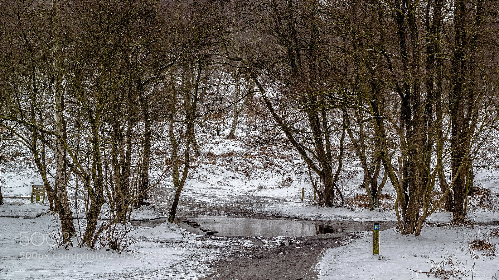 Canon EOS 550D (EOS Rebel T2i / EOS Kiss X4) sample photo. Snow stroll photography