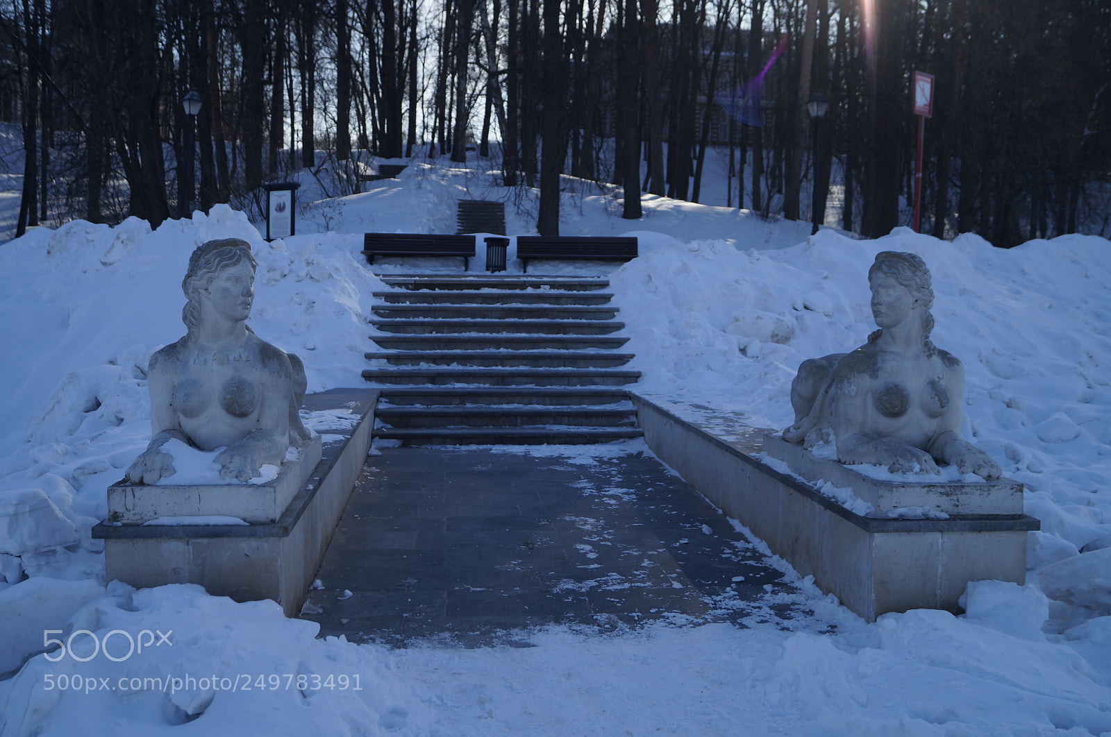 Sony SLT-A57 sample photo. Untitled photography
