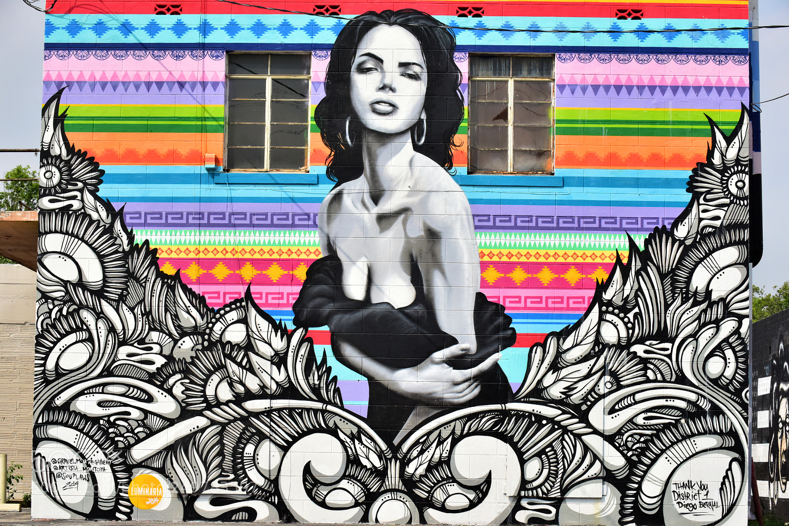 Nikon D810 sample photo. Street art photography