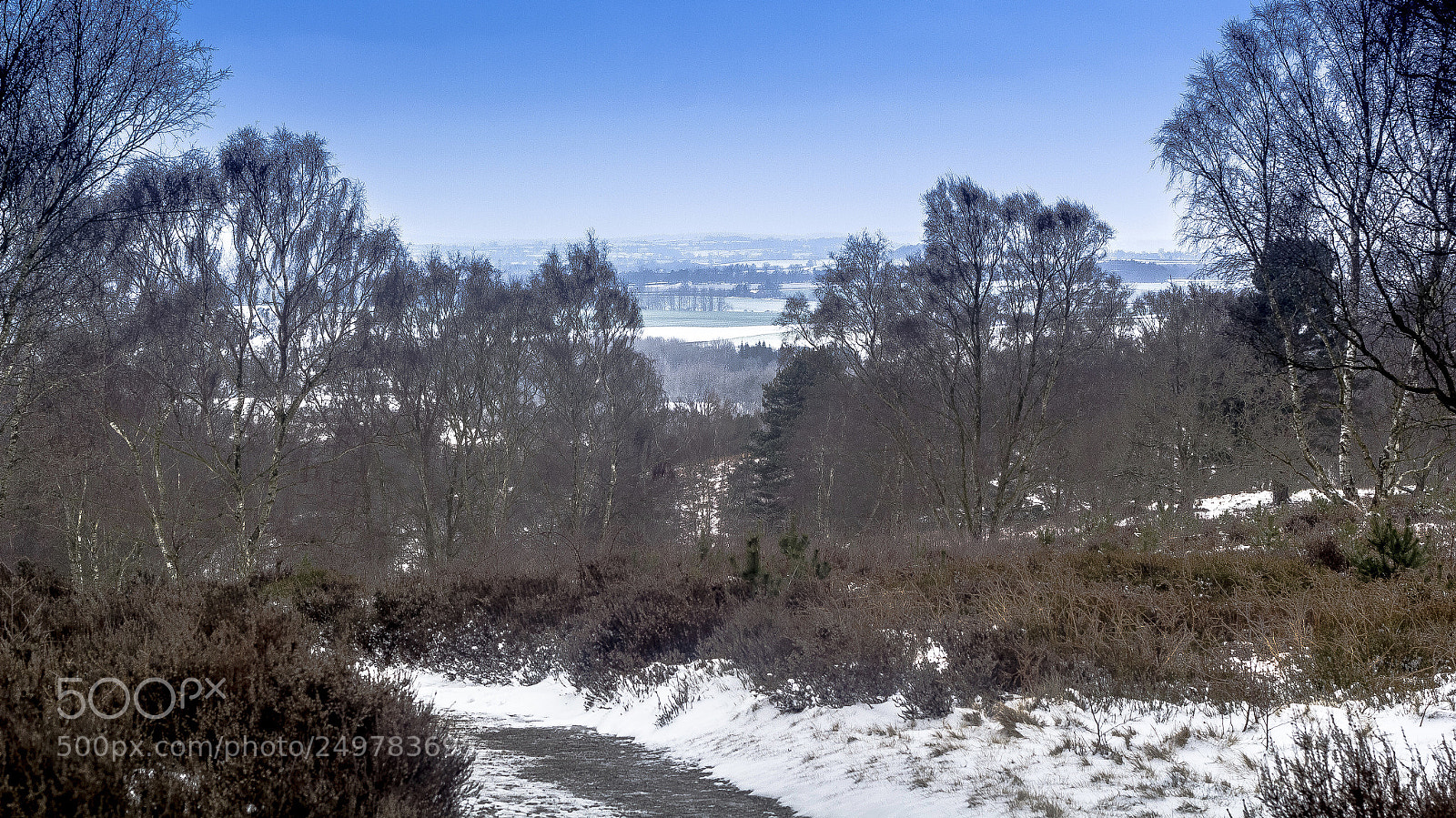 Canon EOS 550D (EOS Rebel T2i / EOS Kiss X4) sample photo. Winters day photography