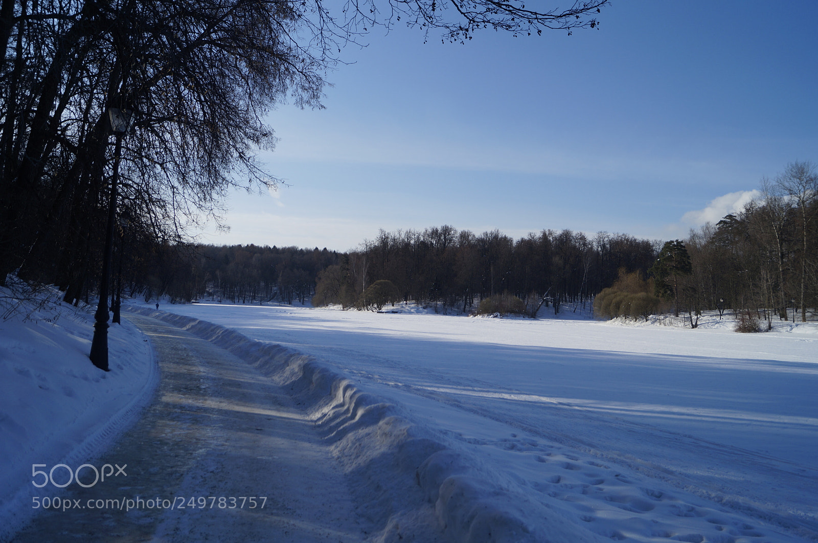 Sony SLT-A57 sample photo. Untitled photography