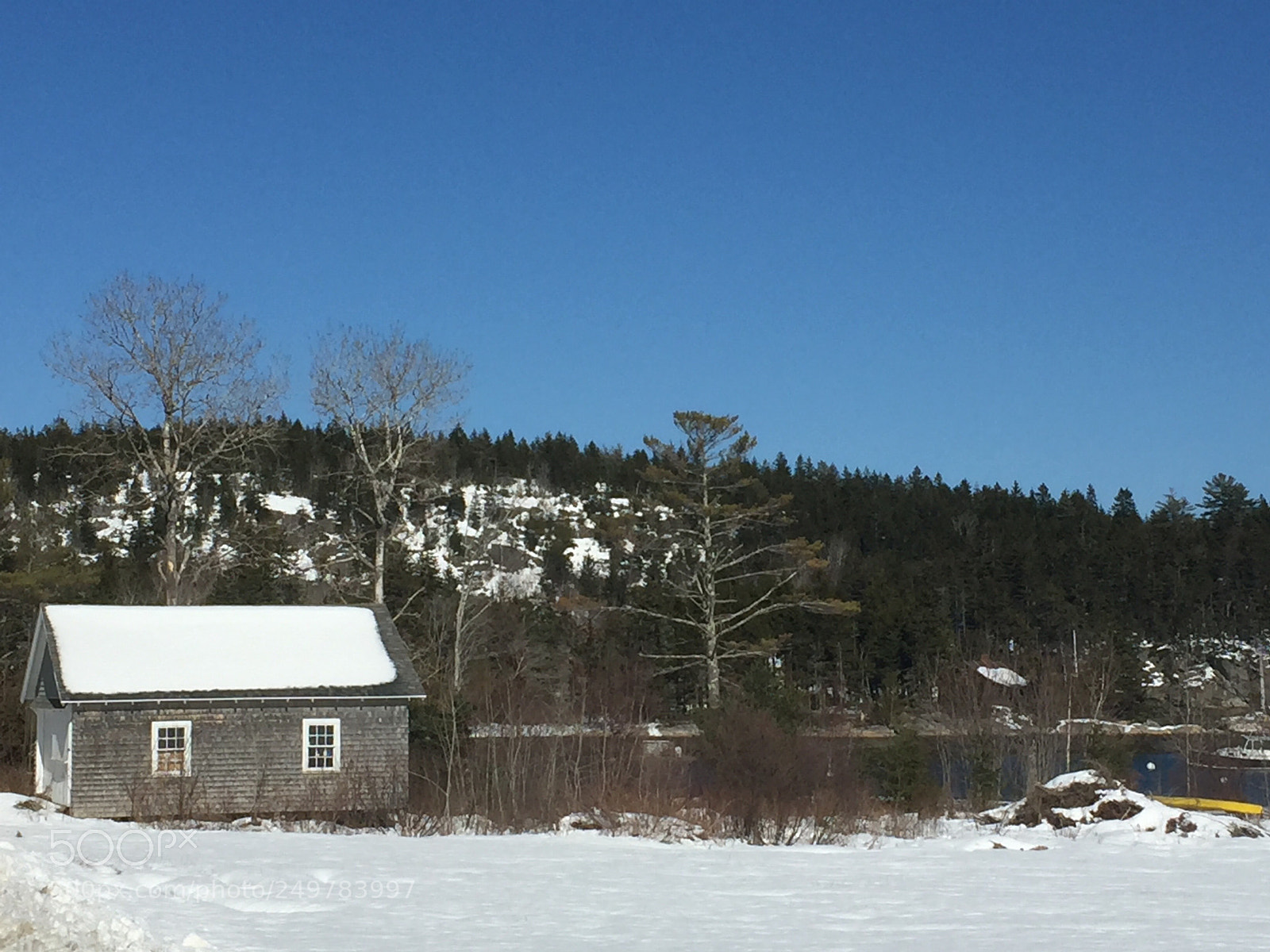 Apple iPhone 6 sample photo. Beautiful cold day photography