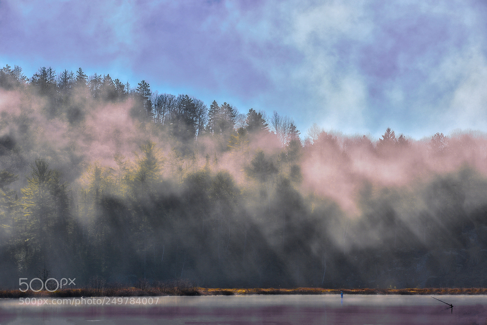 Nikon D600 sample photo. First sun rays photography