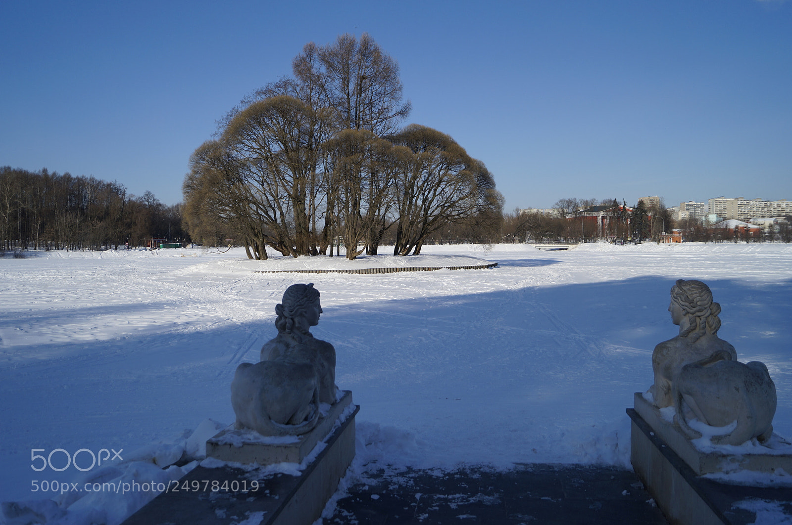 Sony SLT-A57 sample photo. Untitled photography