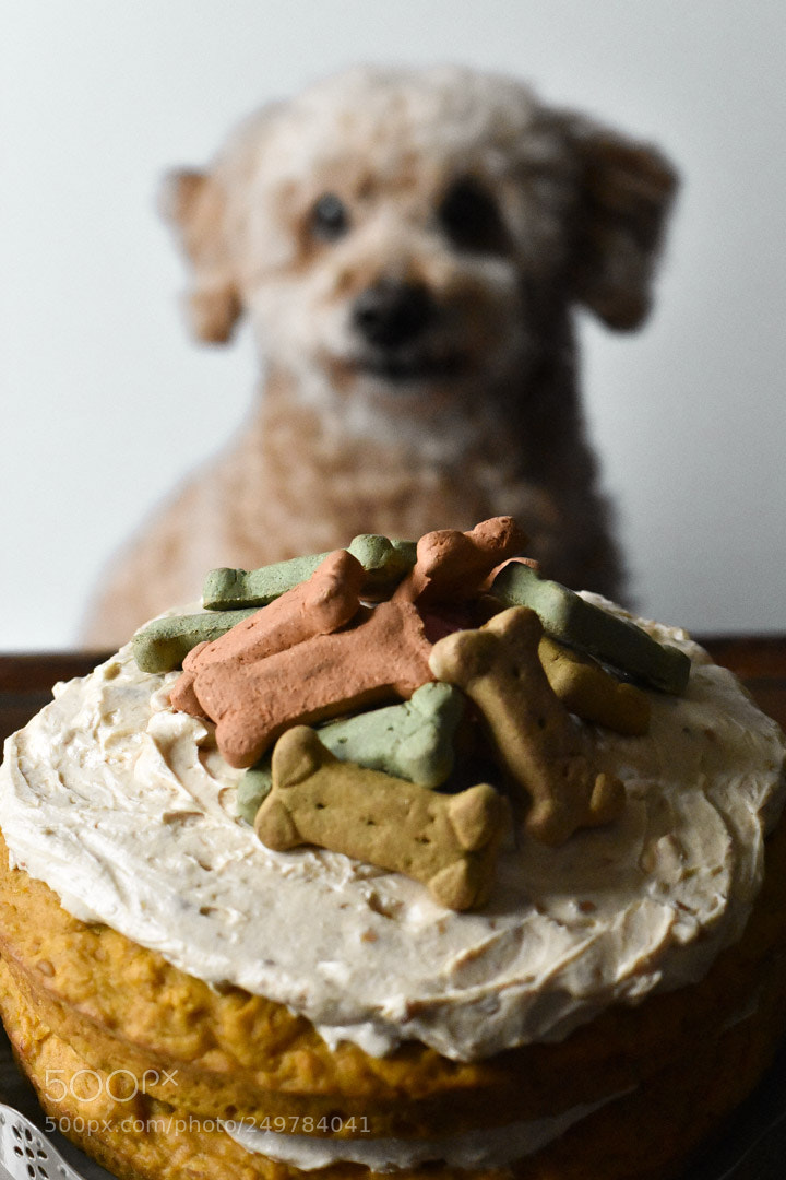 Nikon D3400 sample photo. Stitch photography