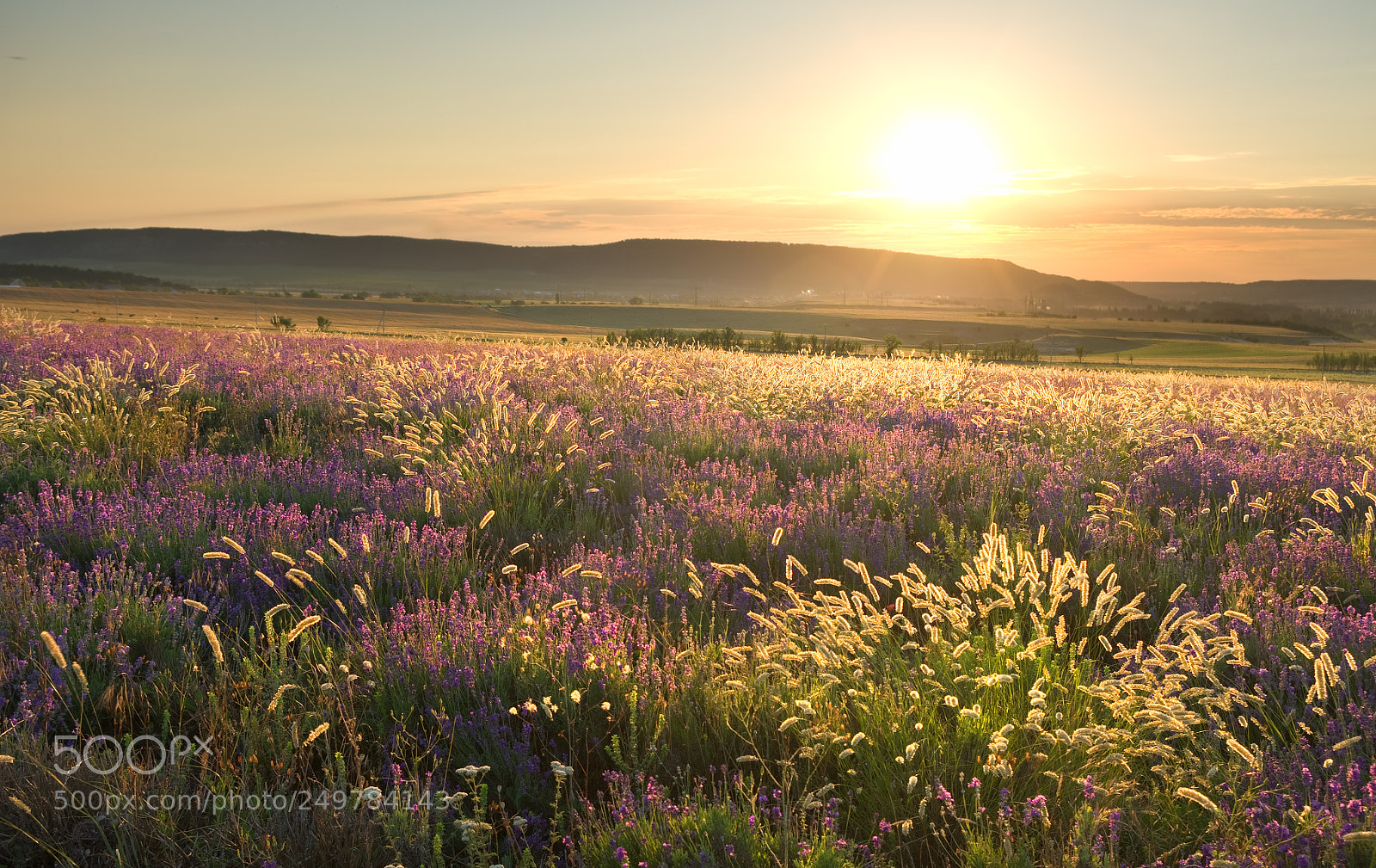 Pentax K-x sample photo. Sunset on summer mountain photography