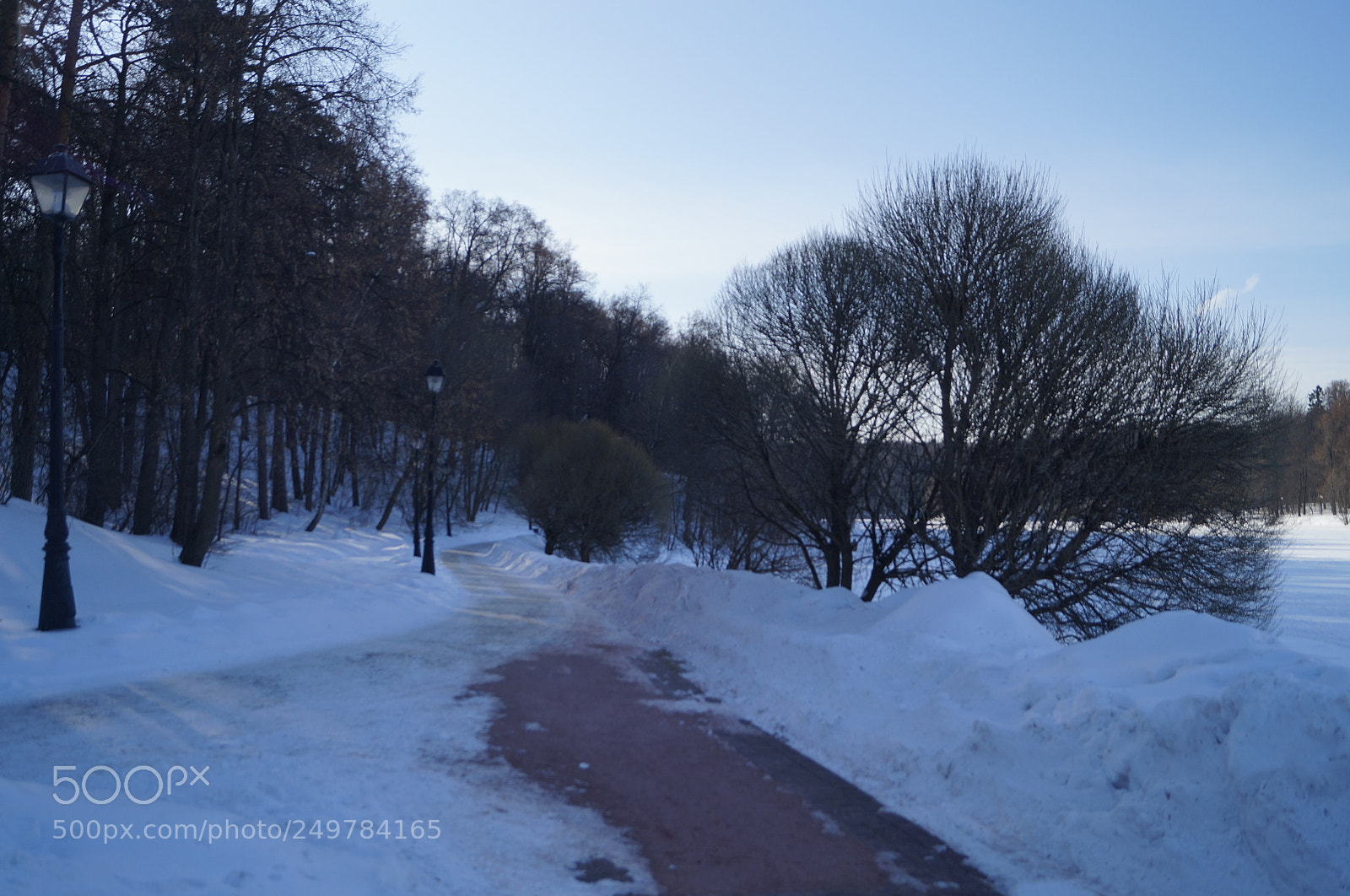Sony SLT-A57 sample photo. Untitled photography