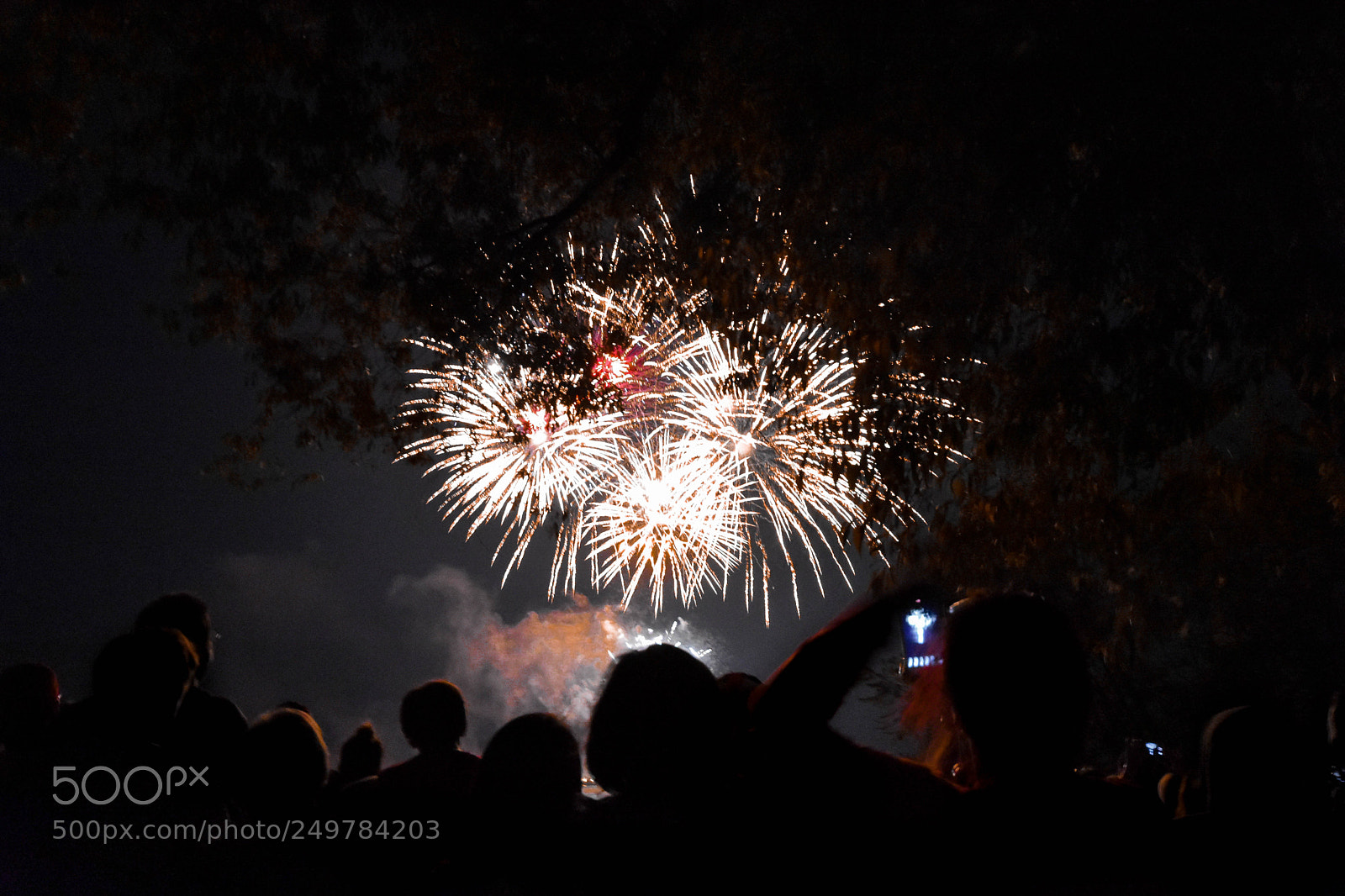 Nikon D3400 sample photo. Canada day photography