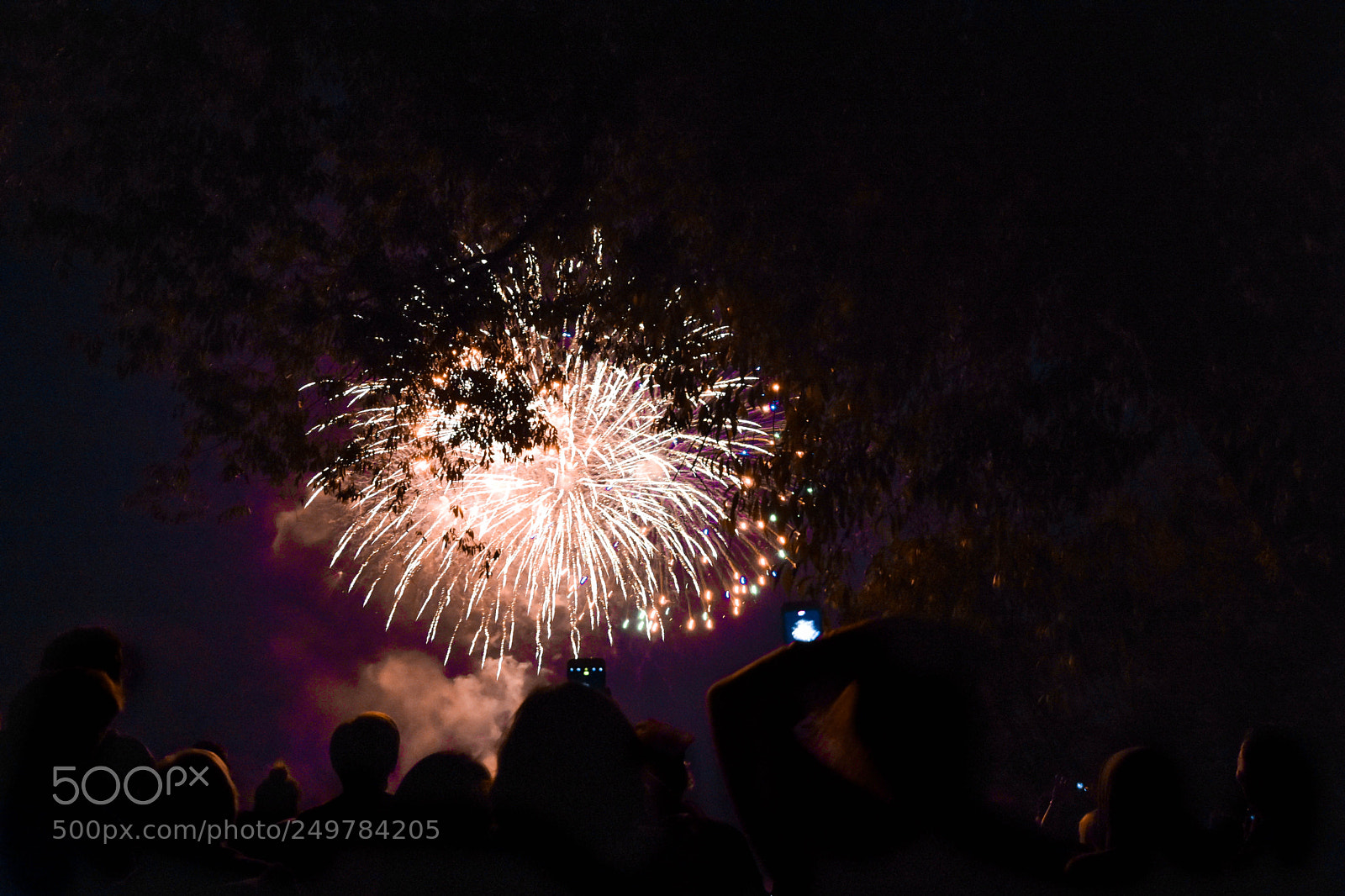 Nikon D3400 sample photo. Canada day photography