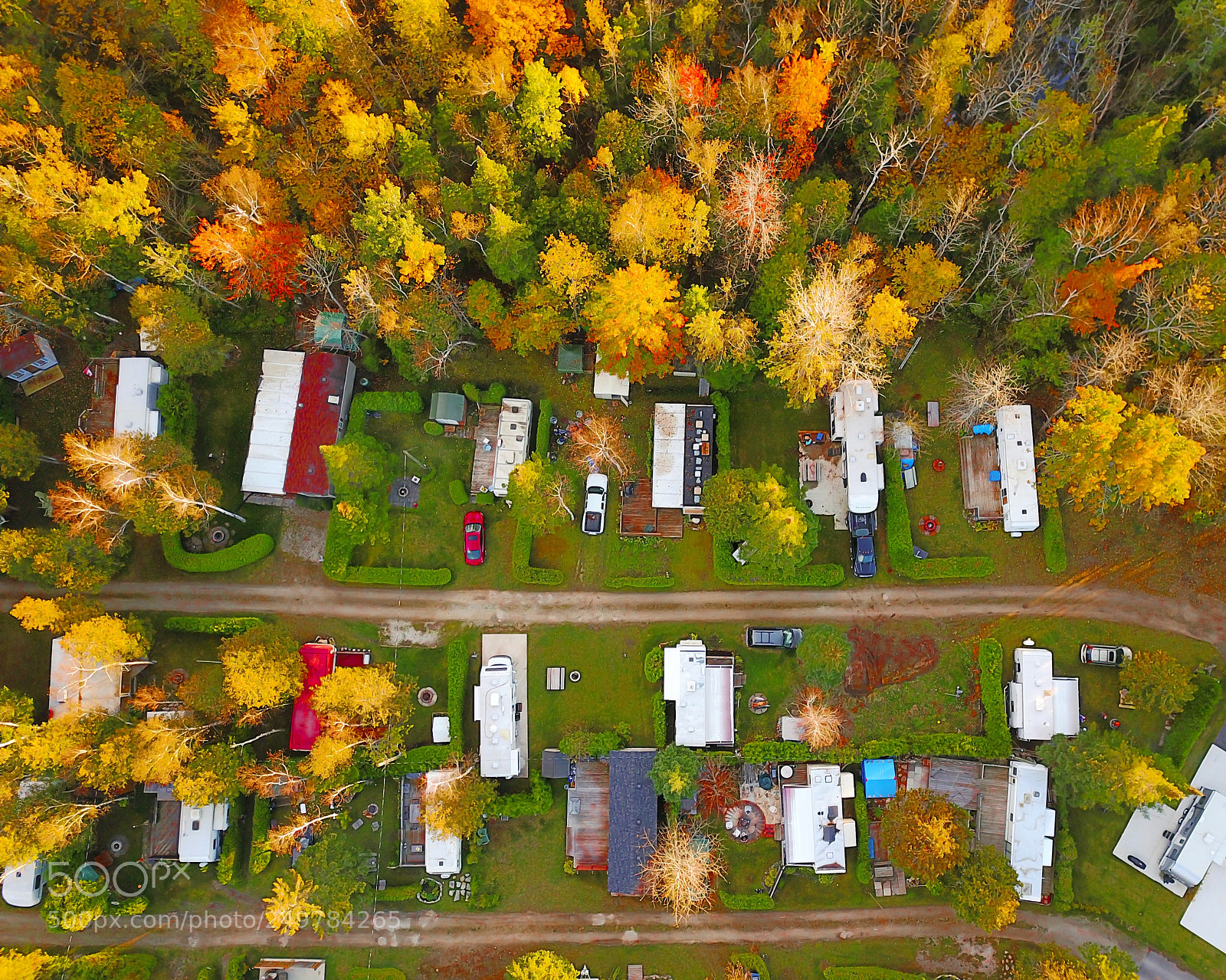 DJI FC220 sample photo. Fall photography