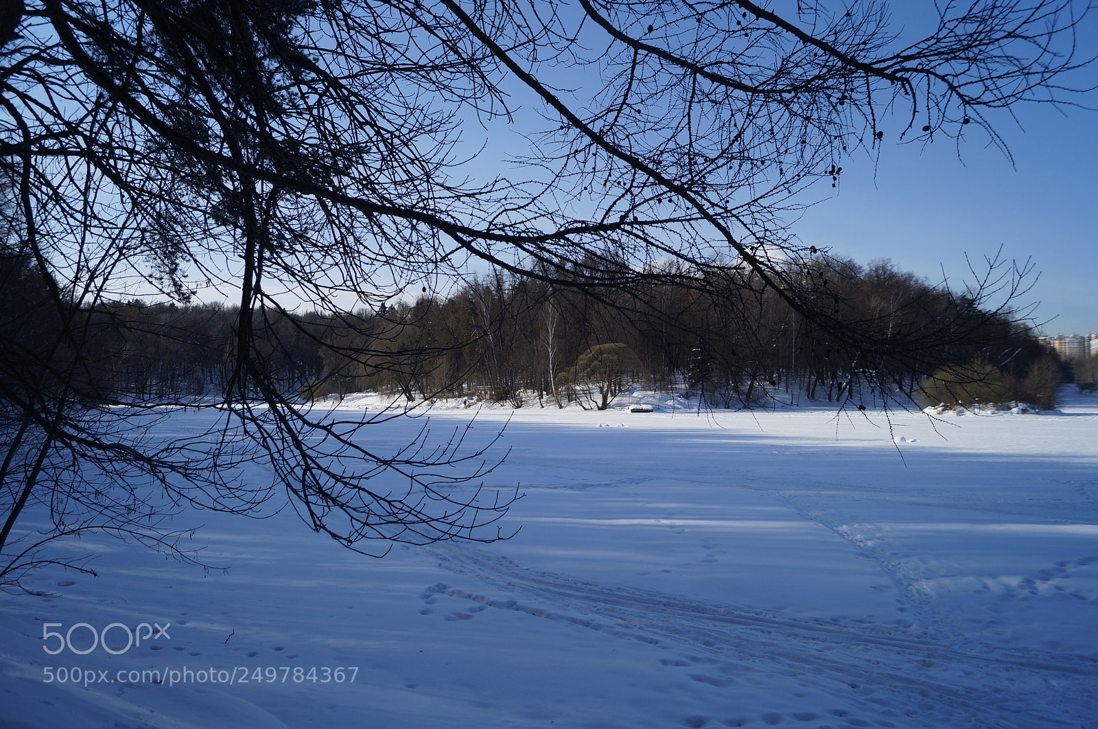 Sony SLT-A57 sample photo. Untitled photography
