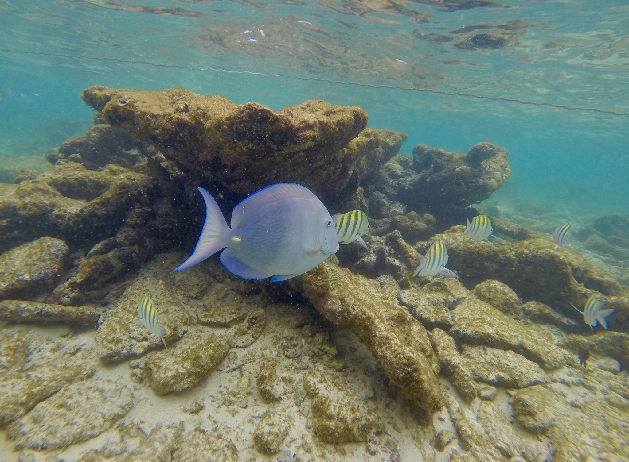 GoPro HERO4 Silver sample photo