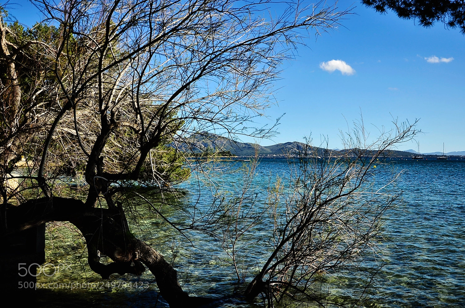 Nikon D7000 sample photo. Untitled photography