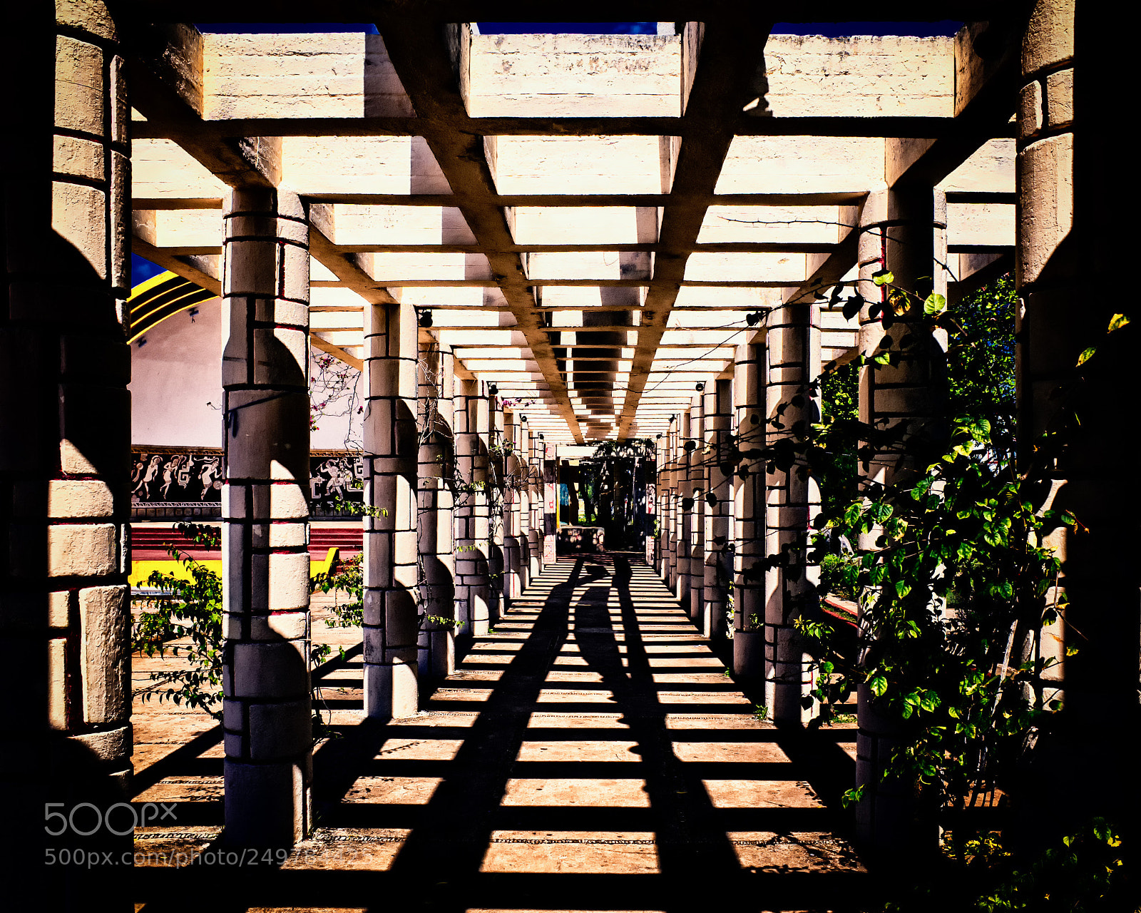 Ricoh GR sample photo. Lines and shadows (color) photography