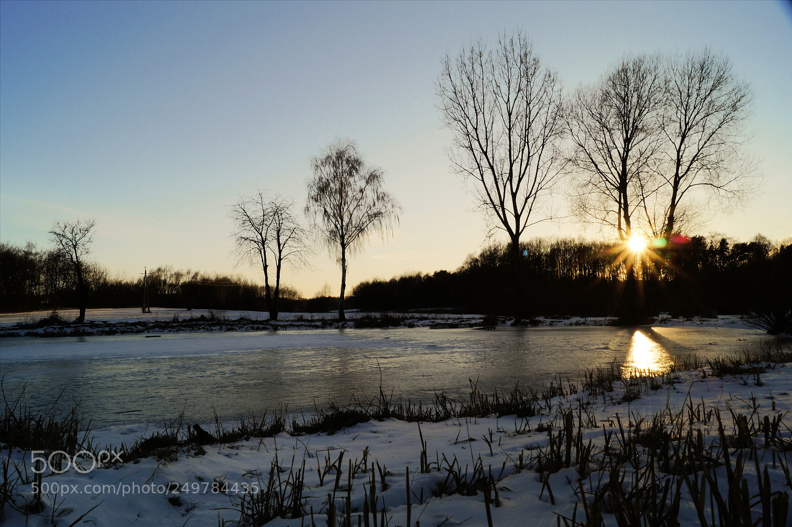Sony SLT-A58 sample photo. Qertrew photography