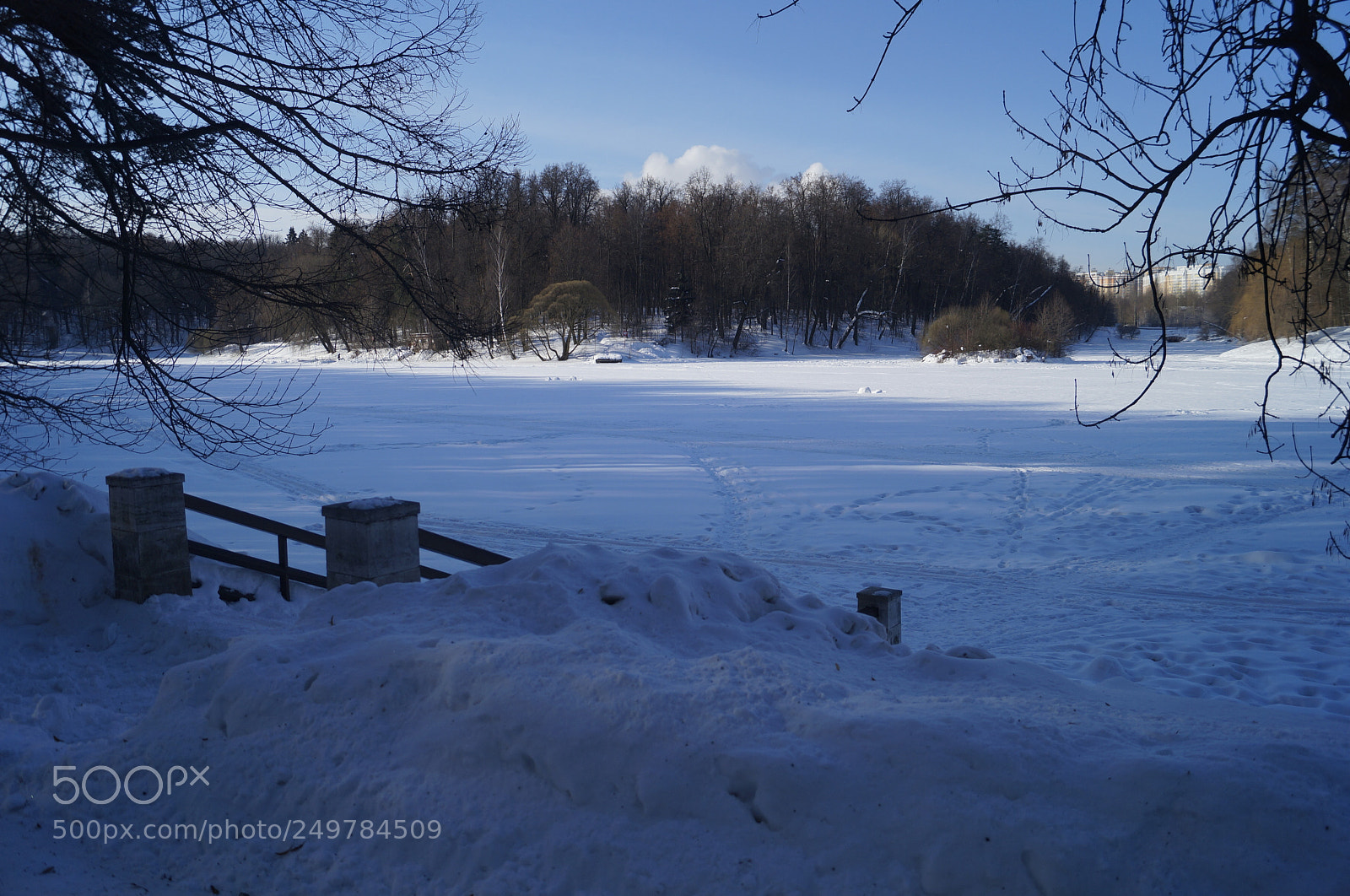 Sony SLT-A57 sample photo. Untitled photography