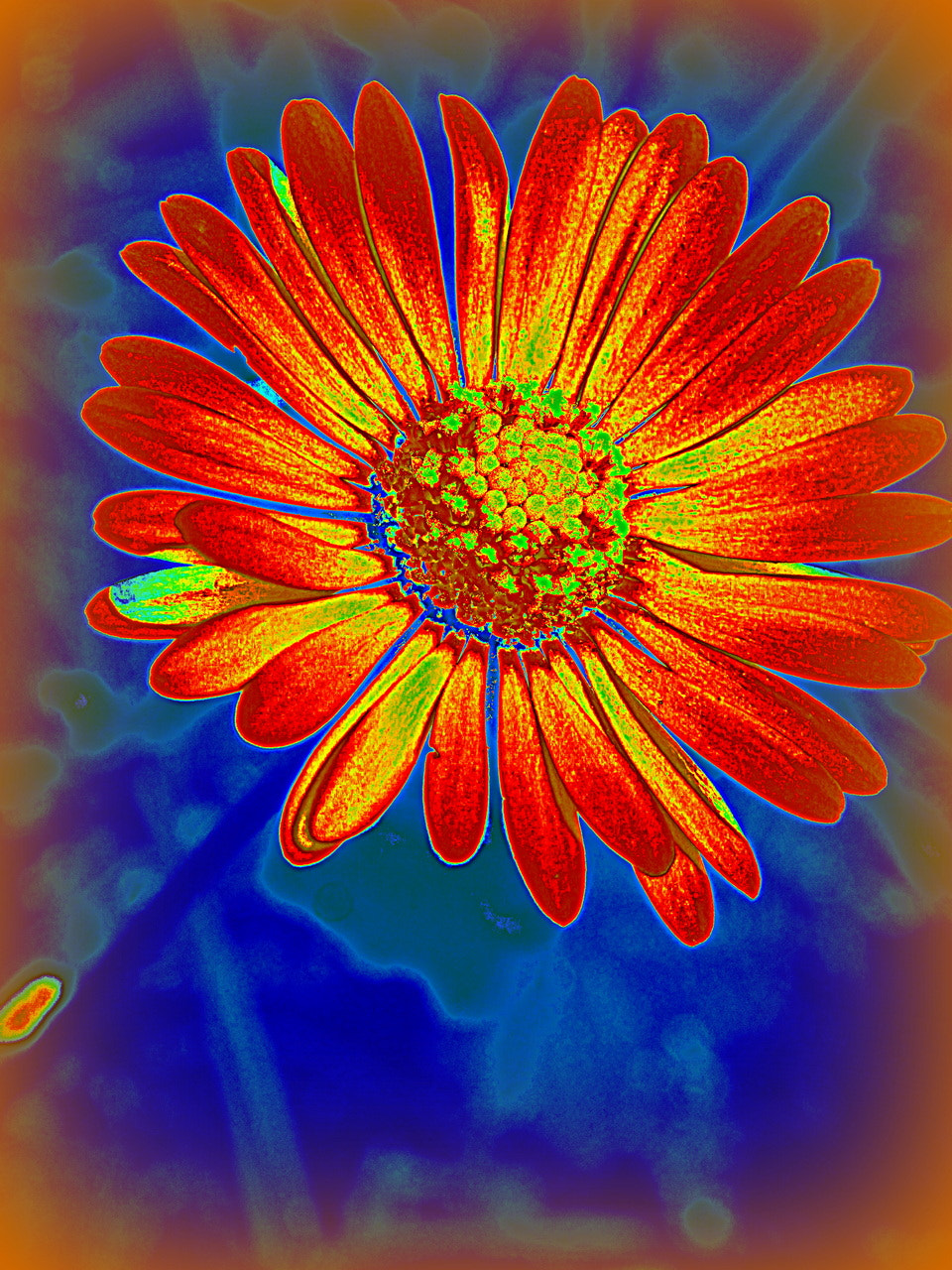 Olympus TG-3 sample photo. Flower photography