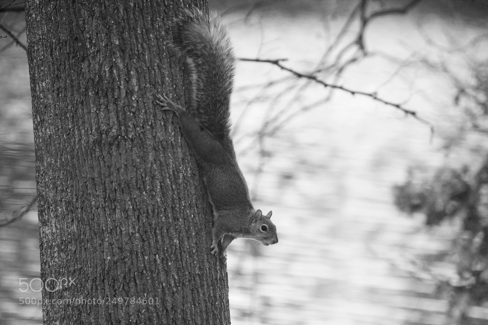 Nikon D3100 sample photo. Yoga photography