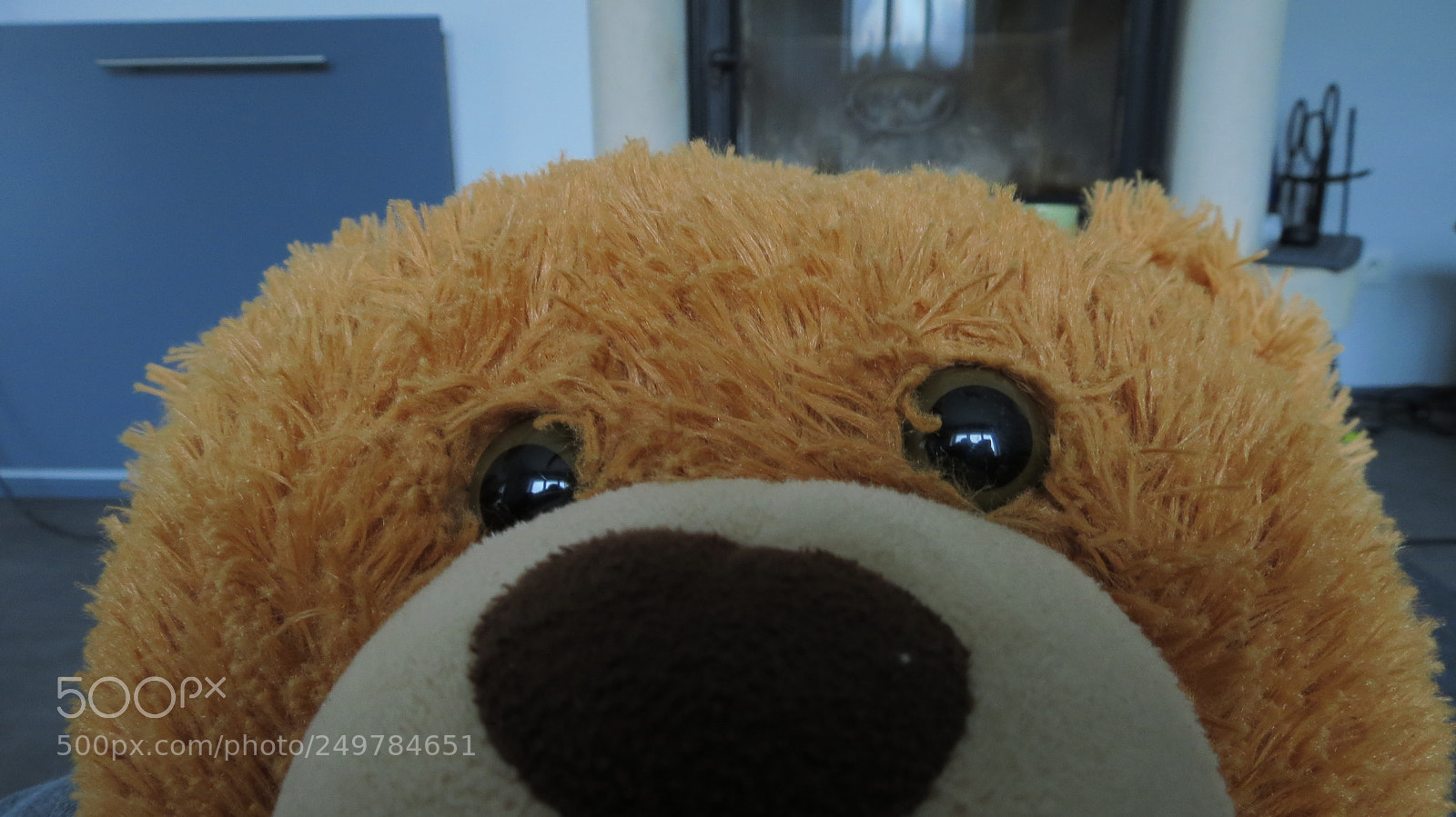 Canon PowerShot SX40 HS sample photo. Img photography