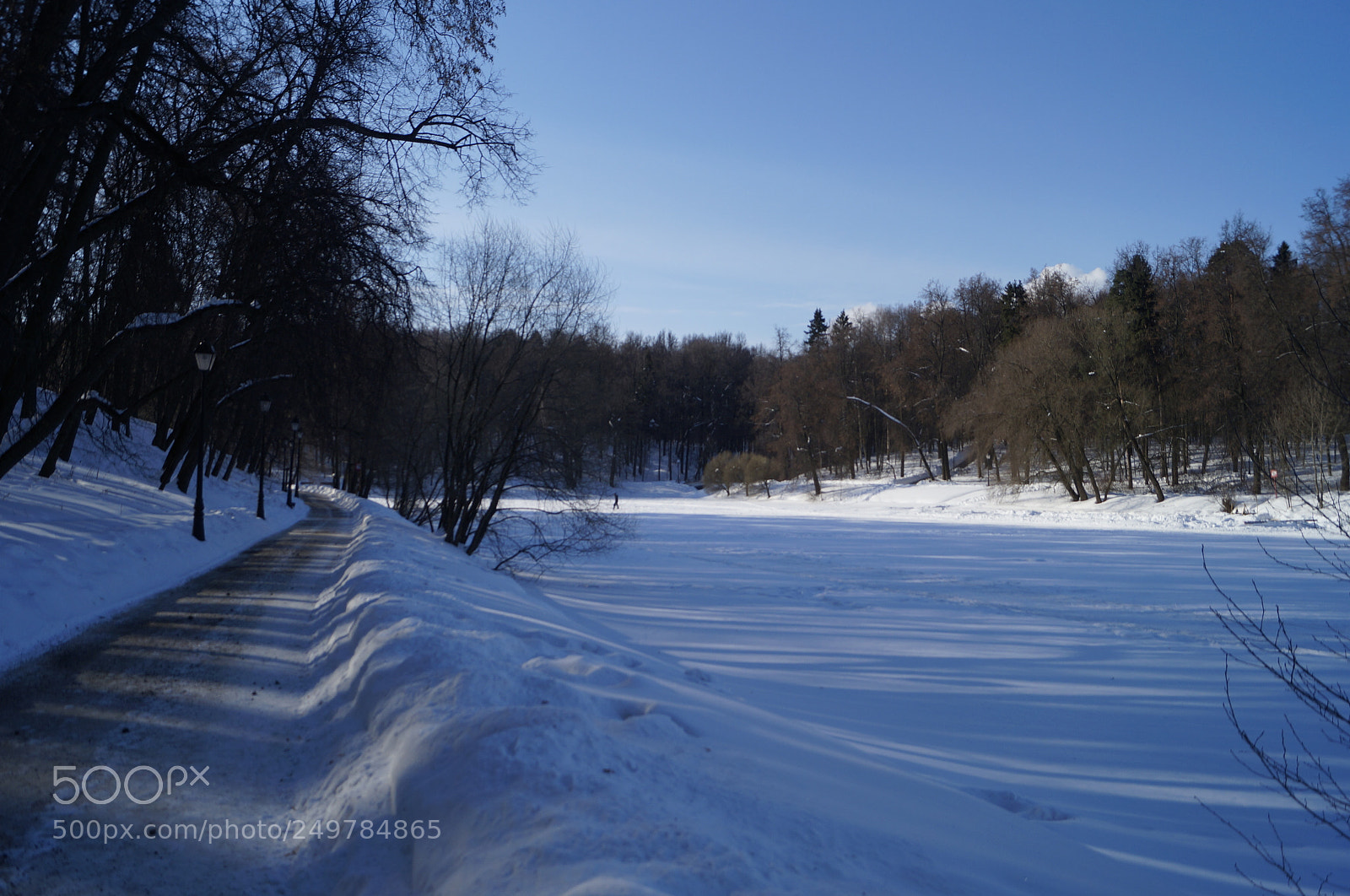 Sony SLT-A57 sample photo. Untitled photography