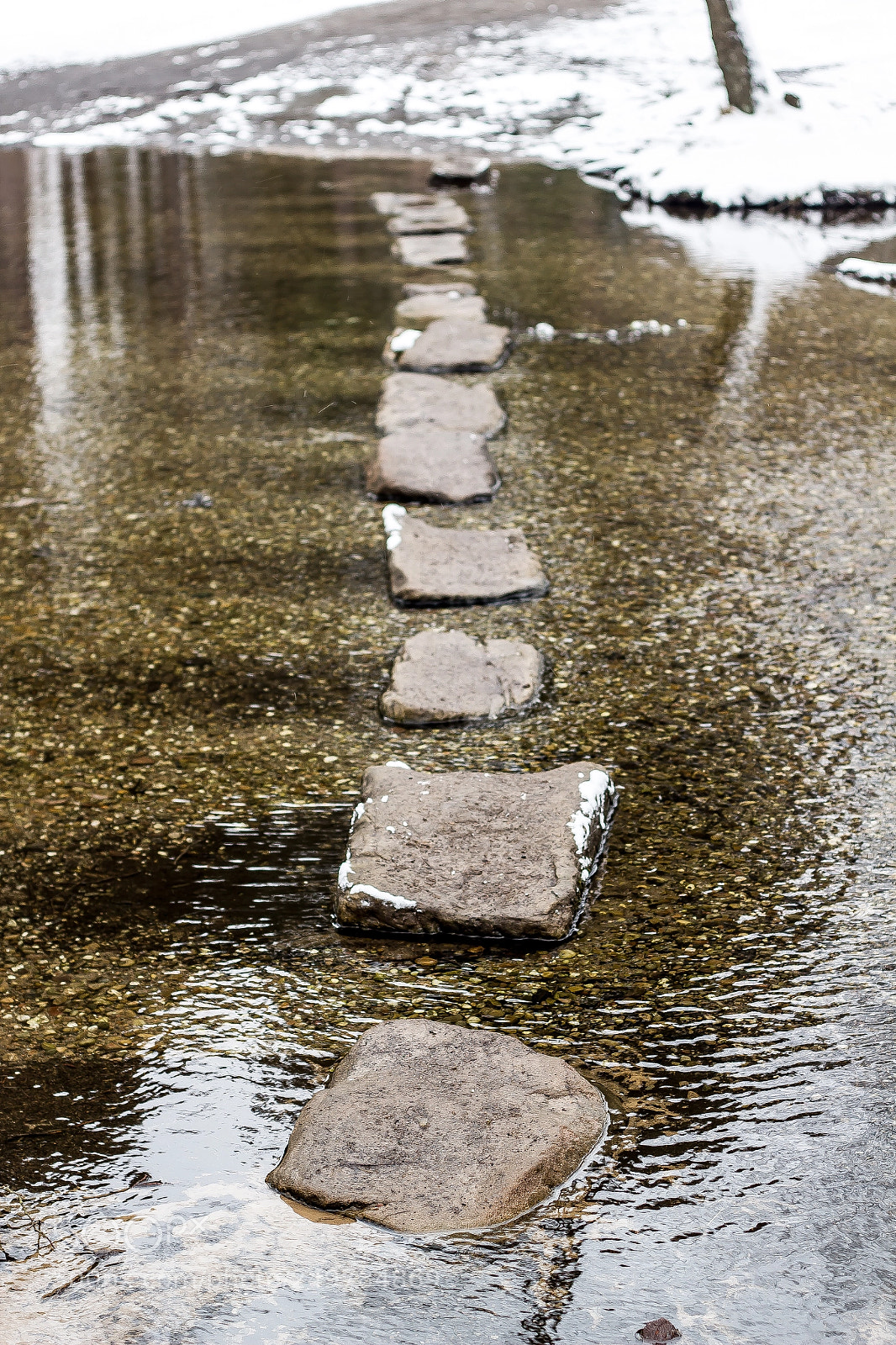Canon EOS 550D (EOS Rebel T2i / EOS Kiss X4) sample photo. Stepping stones photography