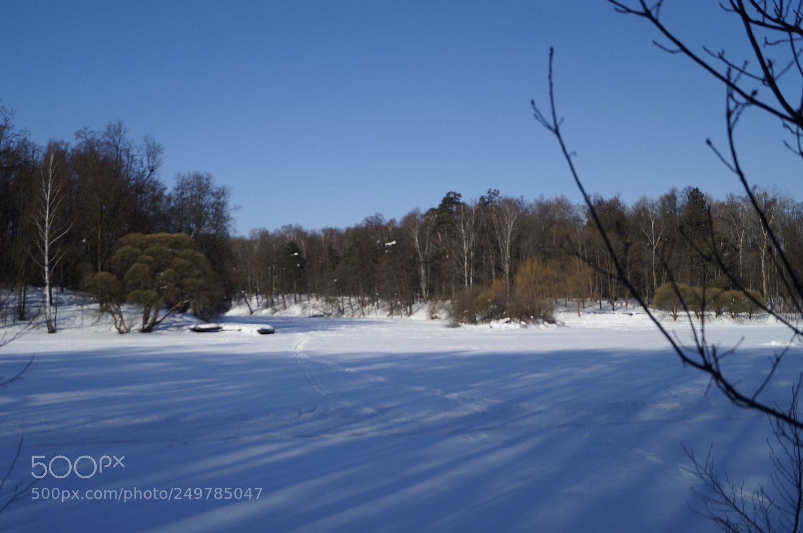 Sony SLT-A57 sample photo. Untitled photography