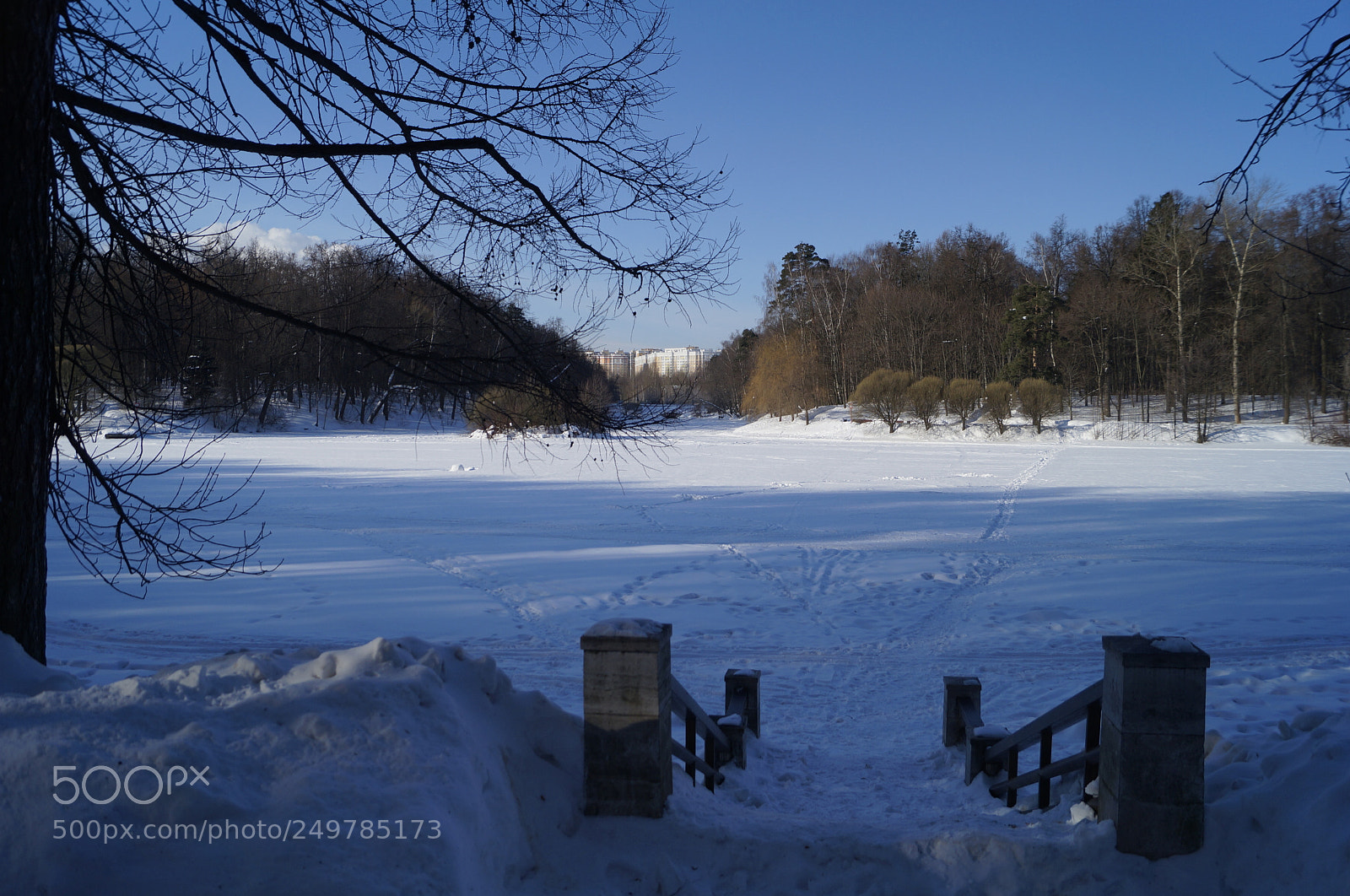 Sony SLT-A57 sample photo. Untitled photography