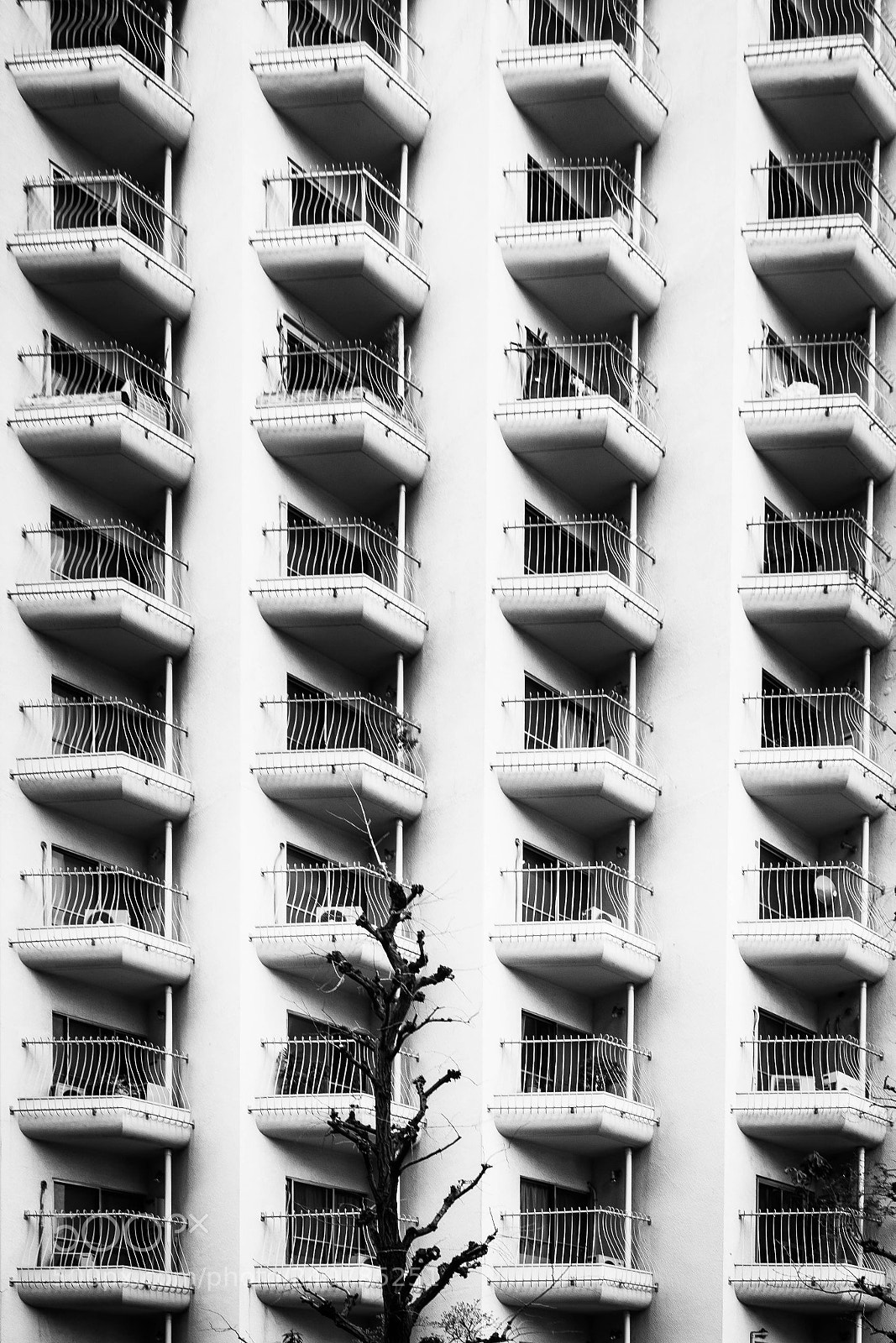 Sony a7 sample photo. Fenetres photography