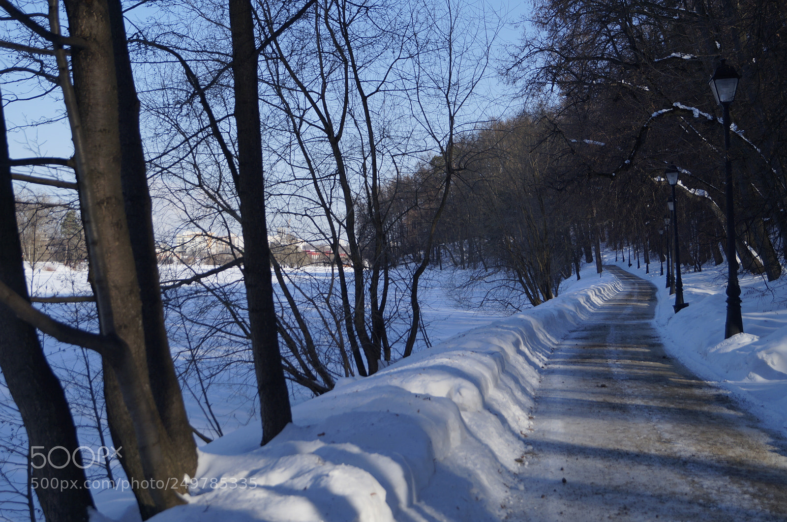 Sony SLT-A57 sample photo. Untitled photography