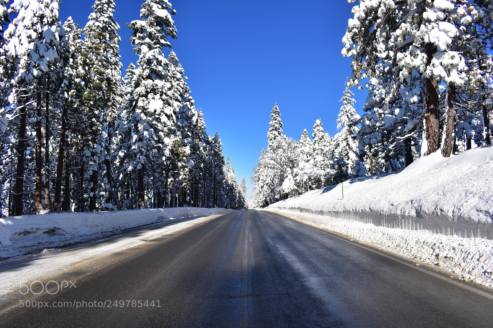 Nikon D3400 sample photo. California state route 20 photography