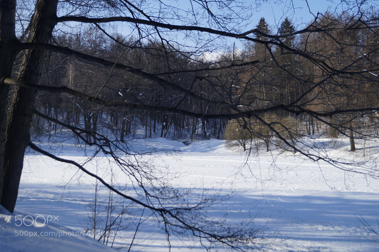 Sony SLT-A57 sample photo. Untitled photography