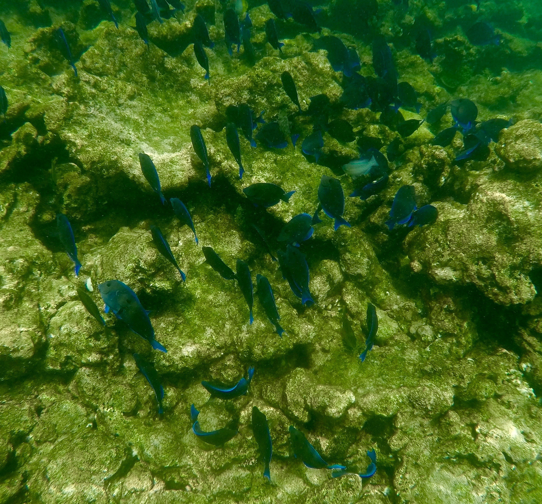 GoPro HERO4 Silver sample photo