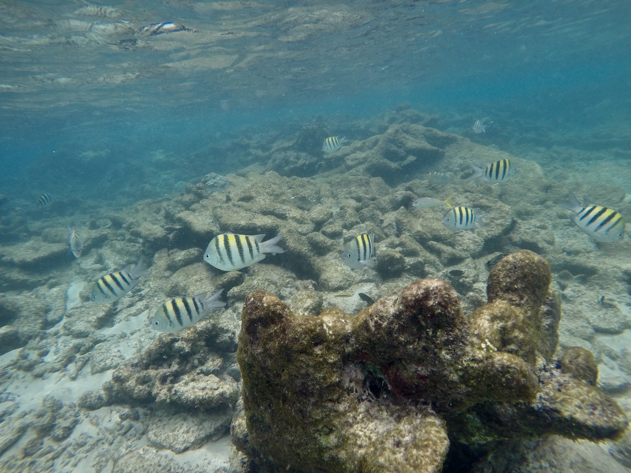GoPro HERO4 Silver sample photo