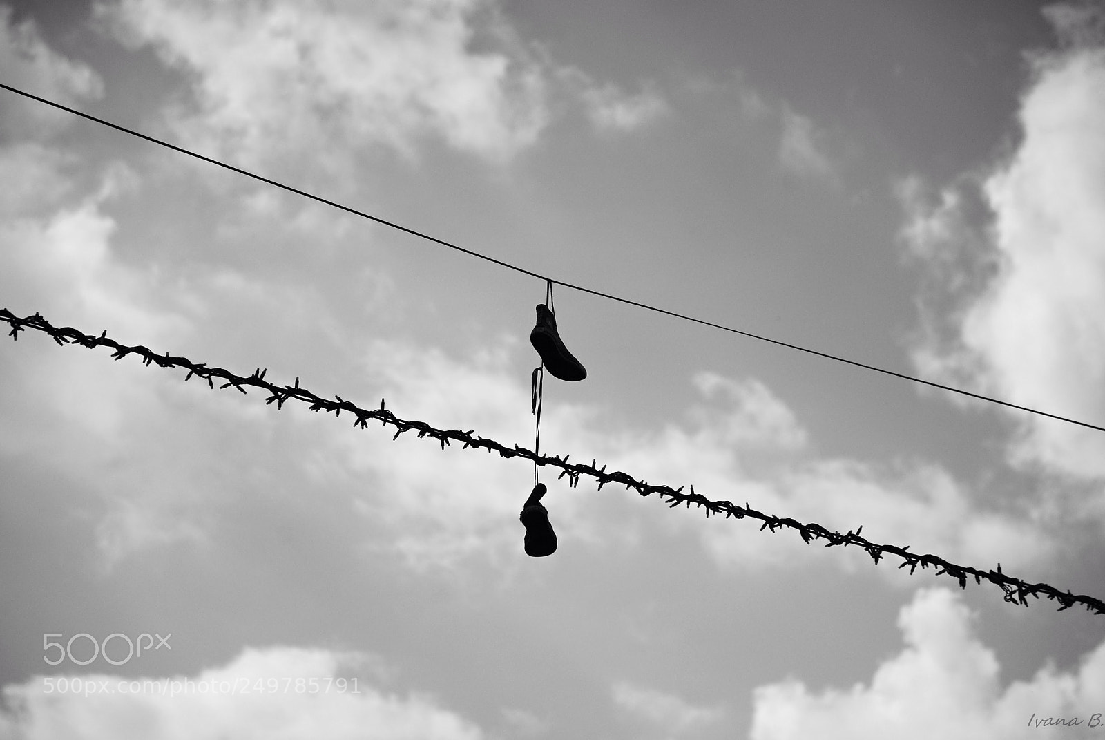 Nikon D40X sample photo. Untitled photography