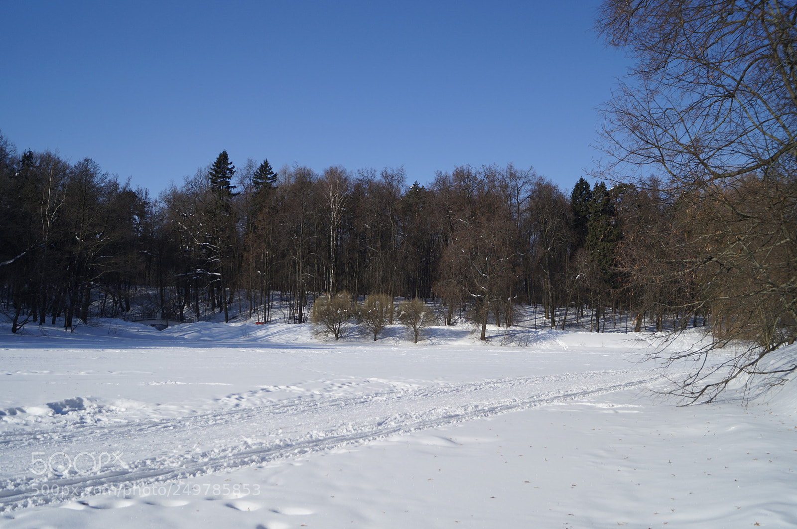 Sony SLT-A57 sample photo. Untitled photography