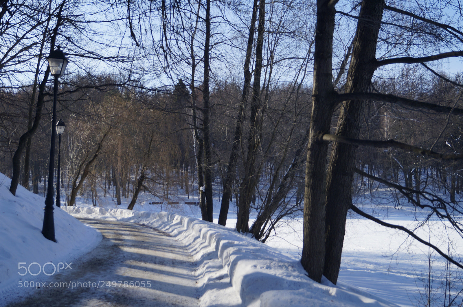 Sony SLT-A57 sample photo. Untitled photography