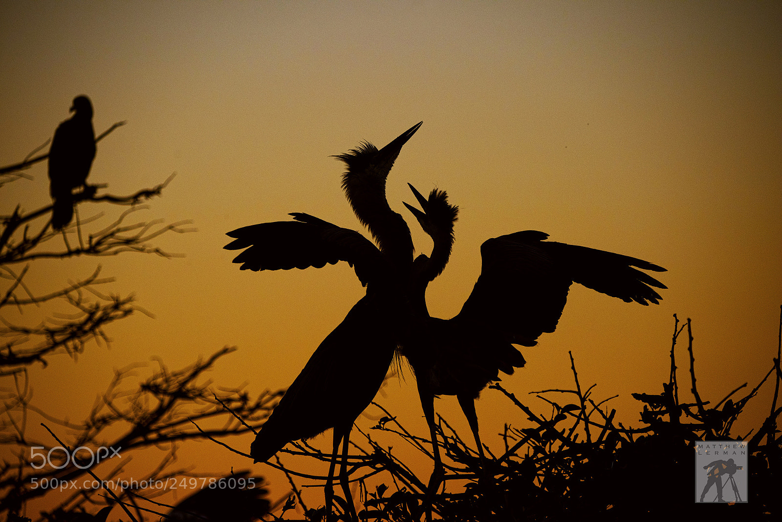 Nikon D810 sample photo. Sunrise  1696 photography