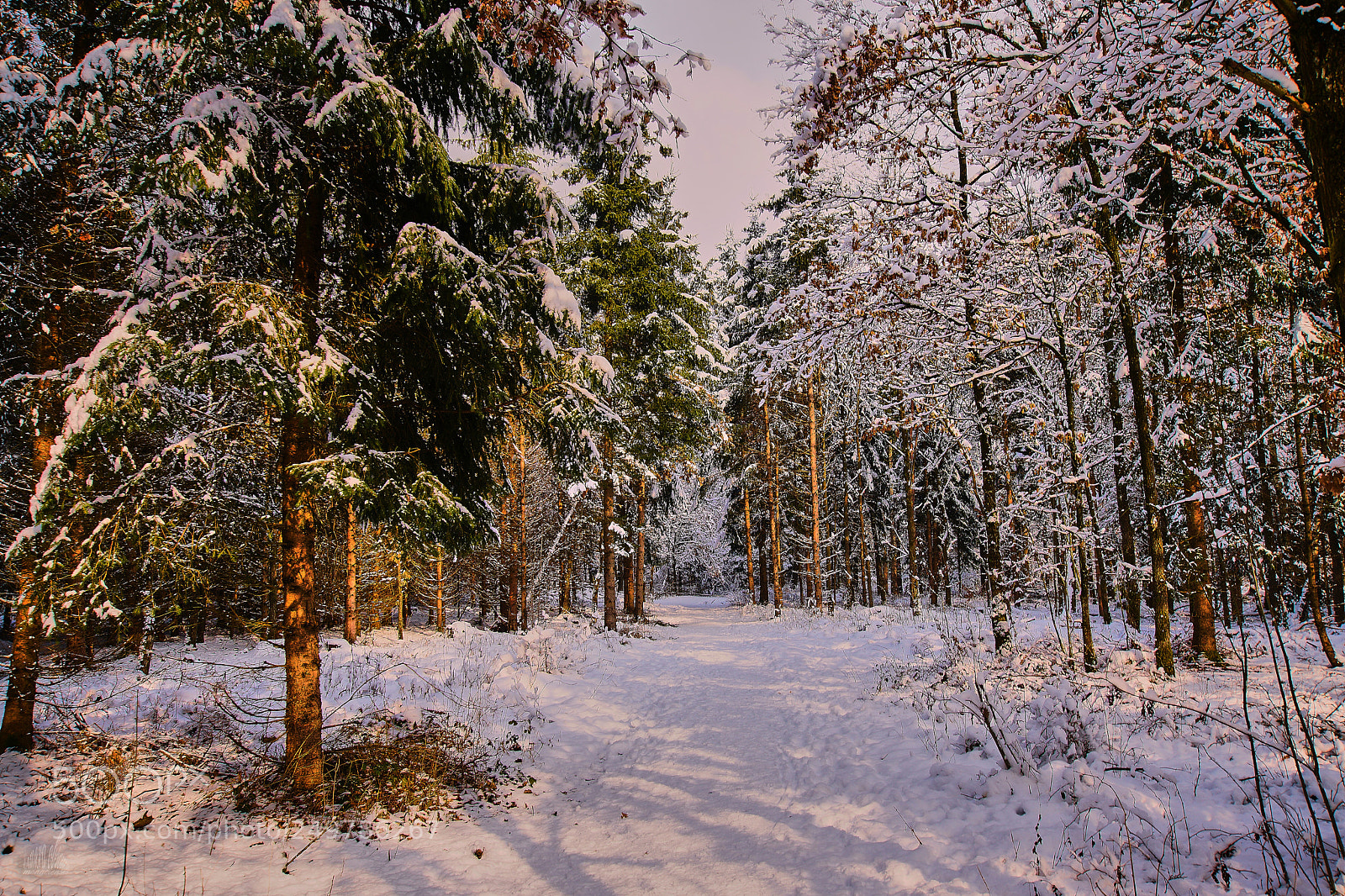 Sony ILCA-77M2 sample photo. And again photography