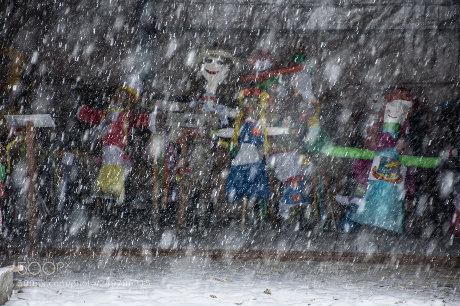 Nikon D7200 sample photo. Waiting for spring photography