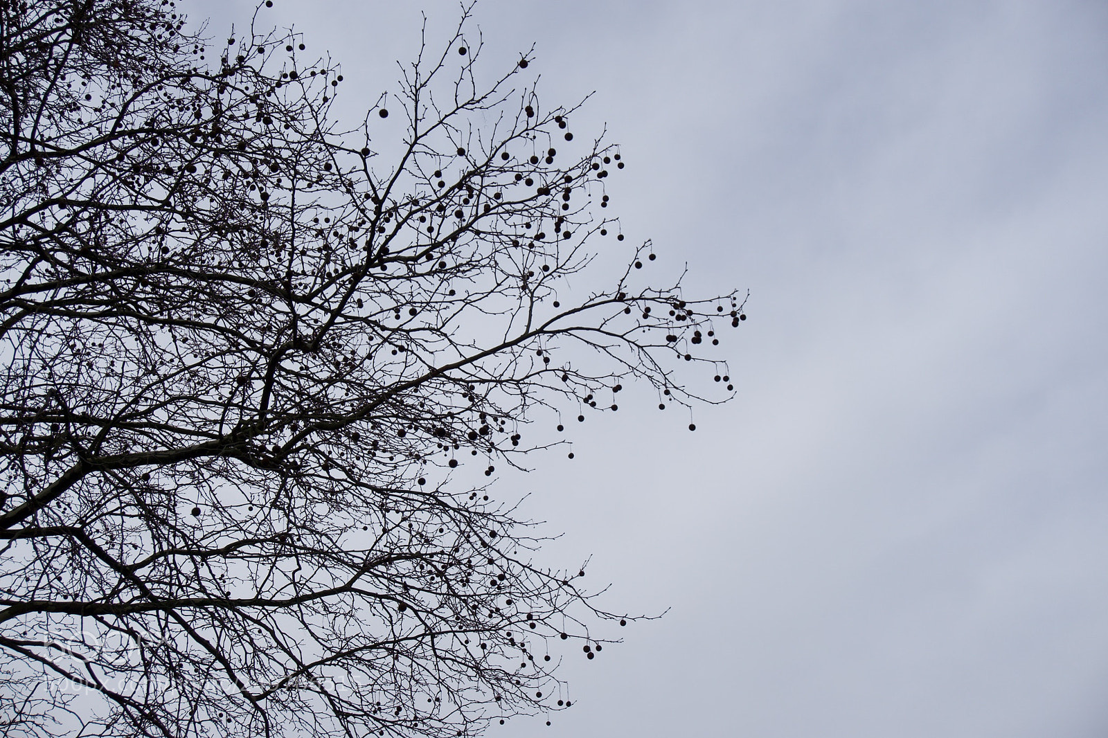 Sony a6000 sample photo. Time for sun ;( photography