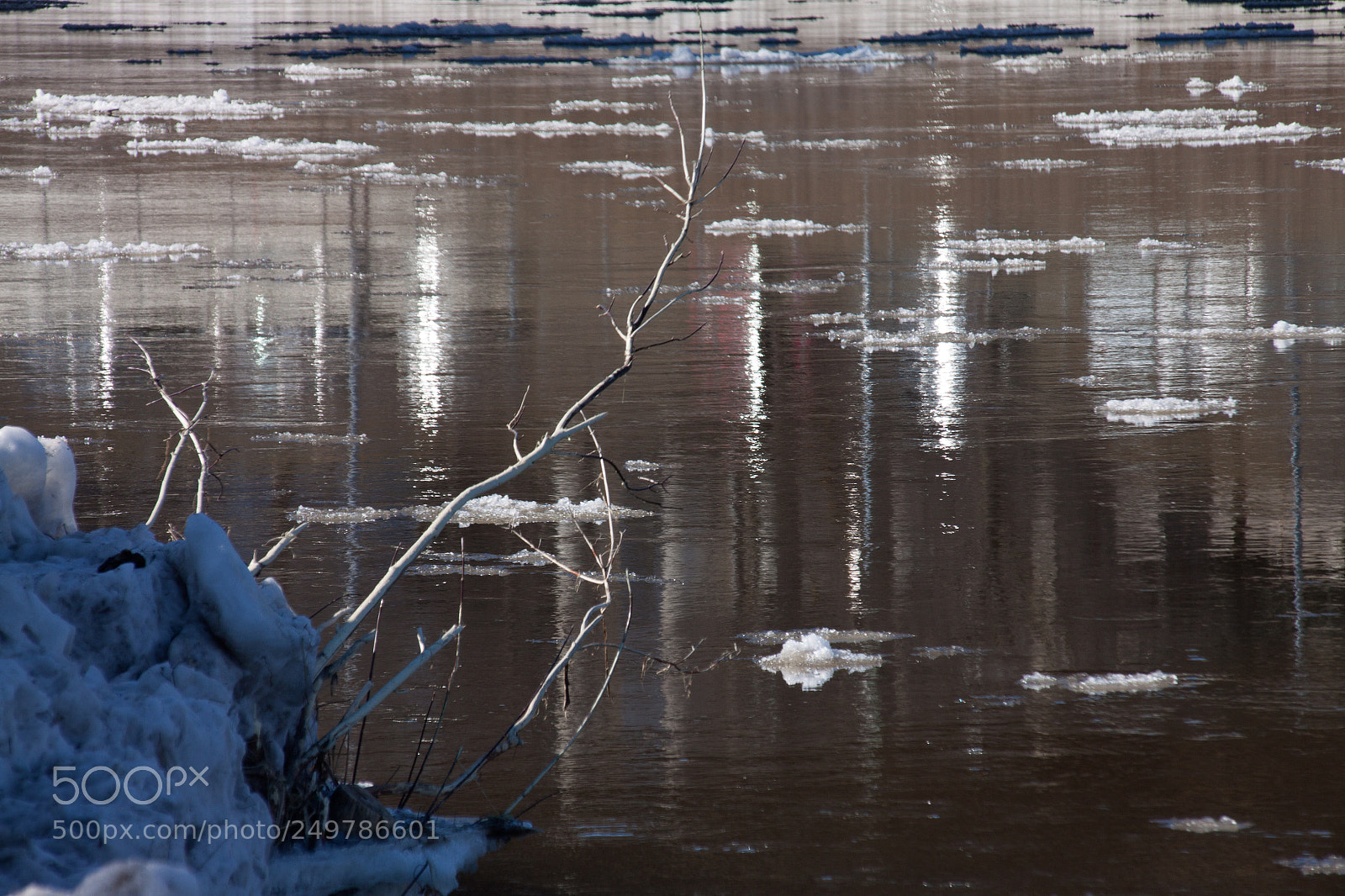 Canon EOS 50D sample photo. Fading winter photography