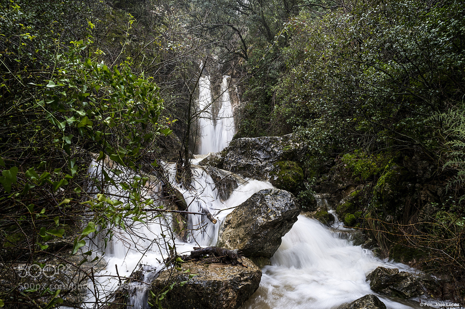 Pentax K-1 sample photo. Arroyo de la cueva photography