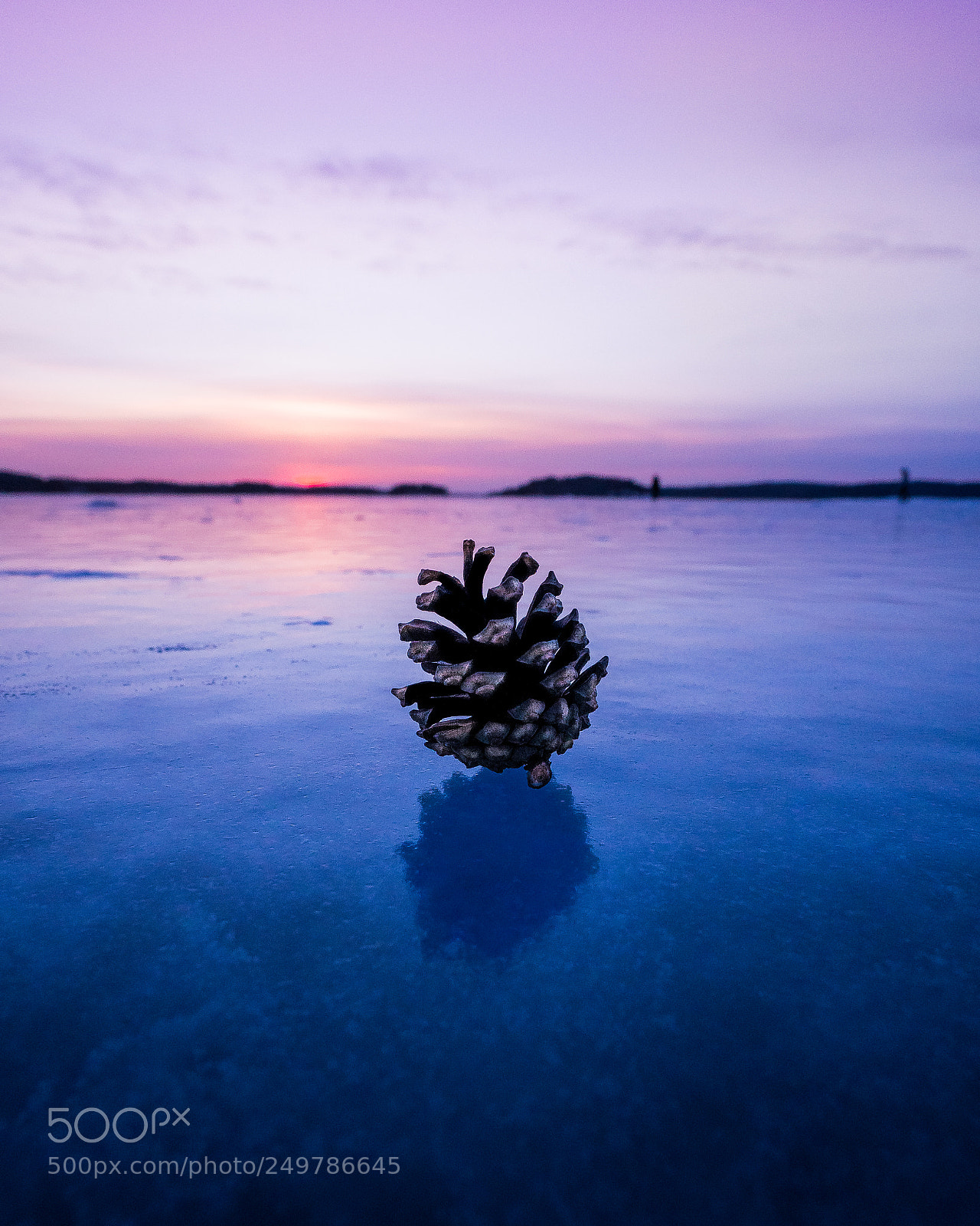 Sony a6300 sample photo. Pinecone sunset photography