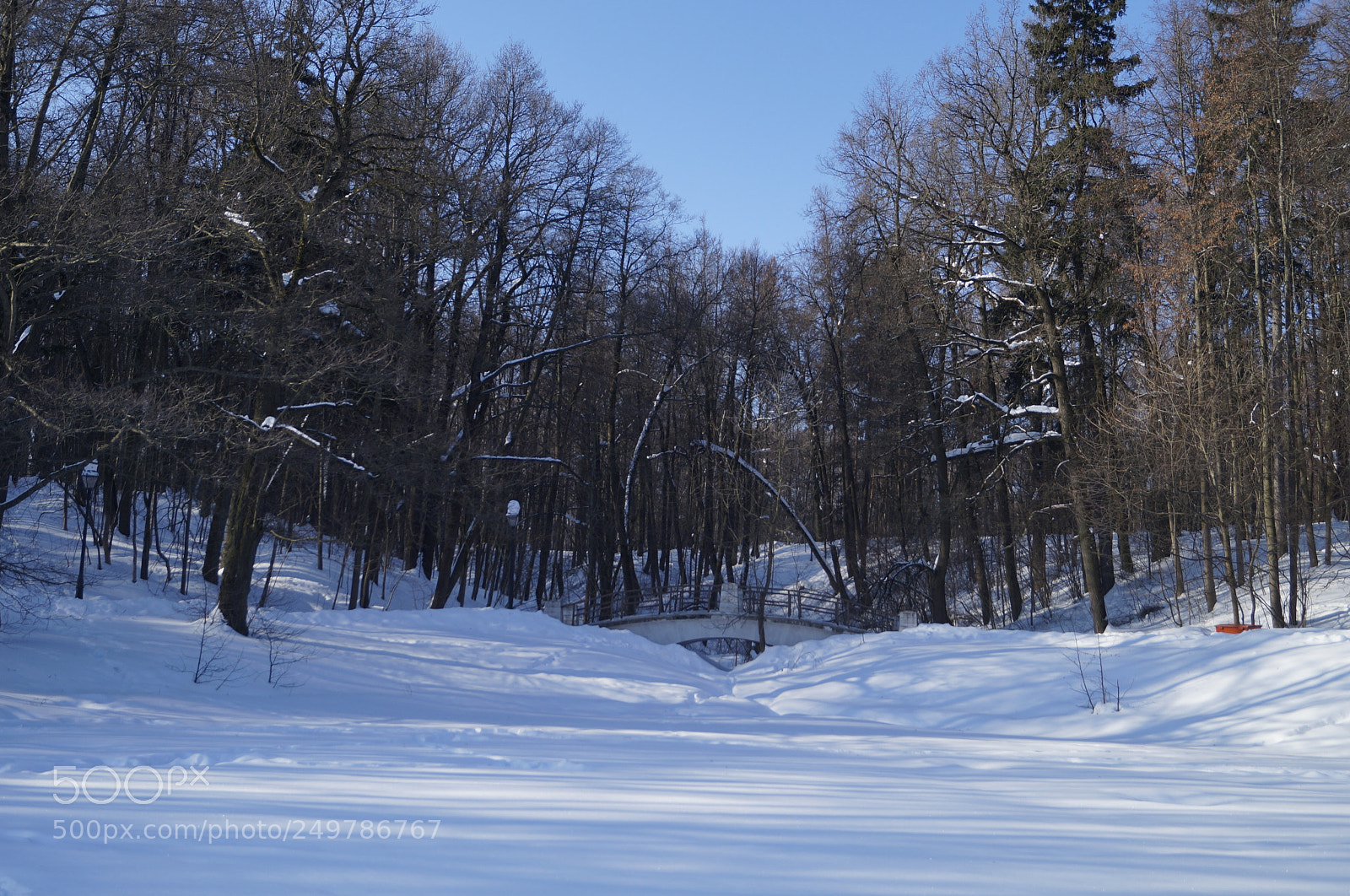 Sony SLT-A57 sample photo. Untitled photography