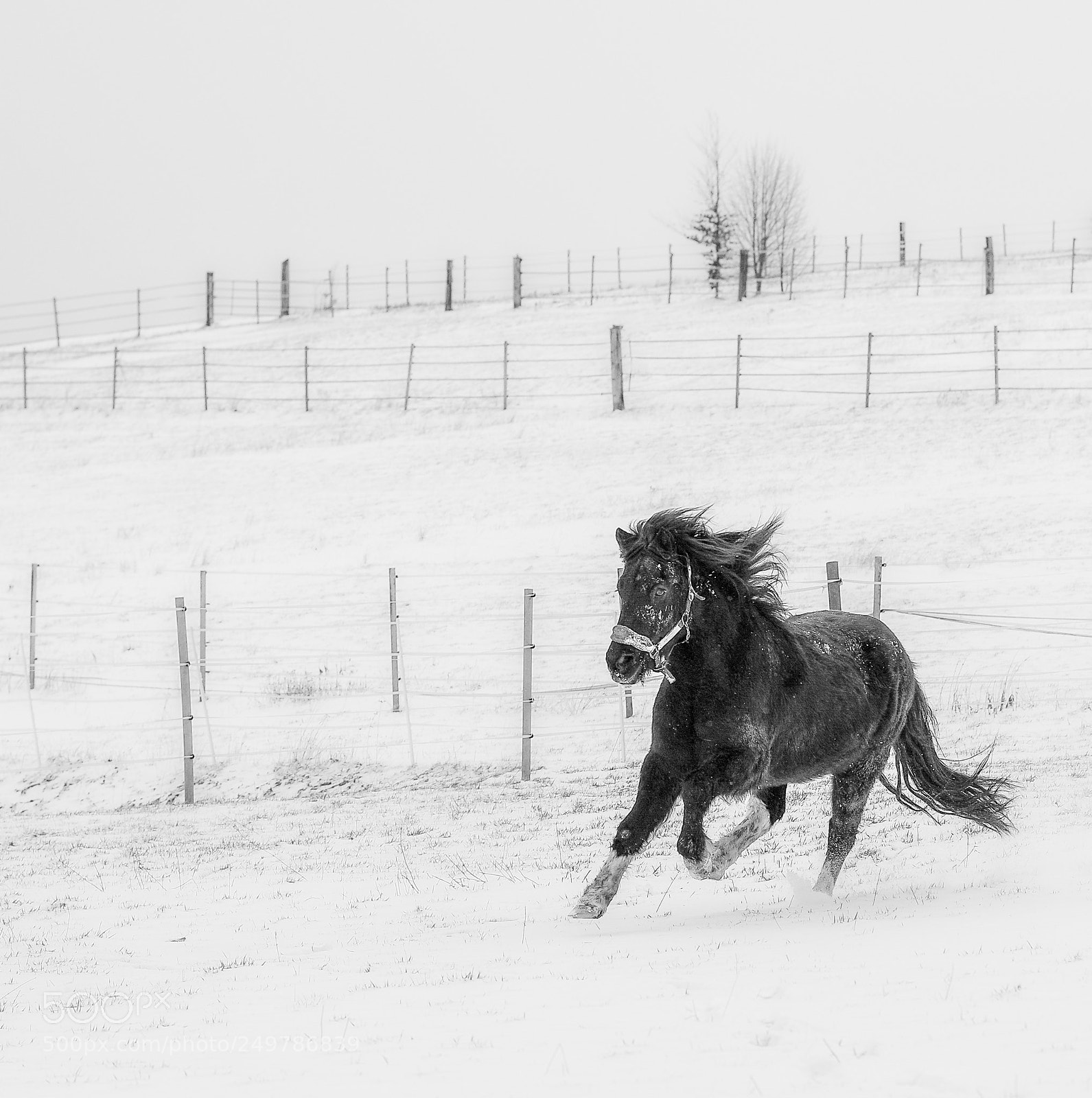 Pentax K-1 sample photo. 22years of age youngster photography
