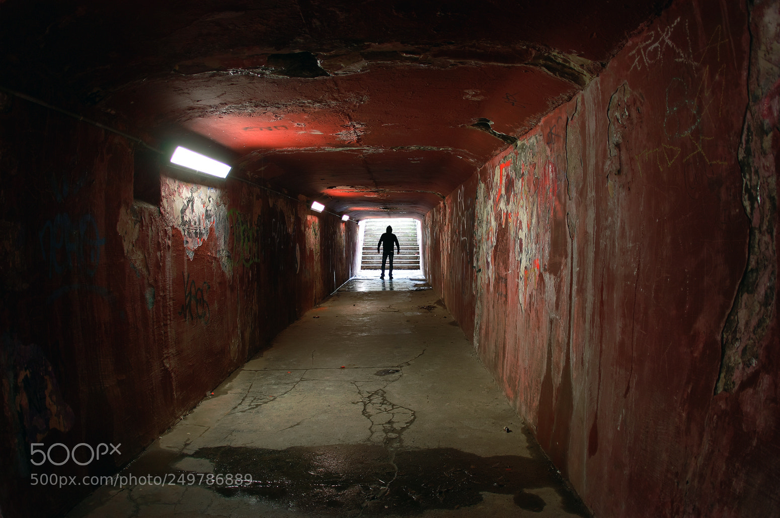 Canon EOS 7D sample photo. Untitled photography
