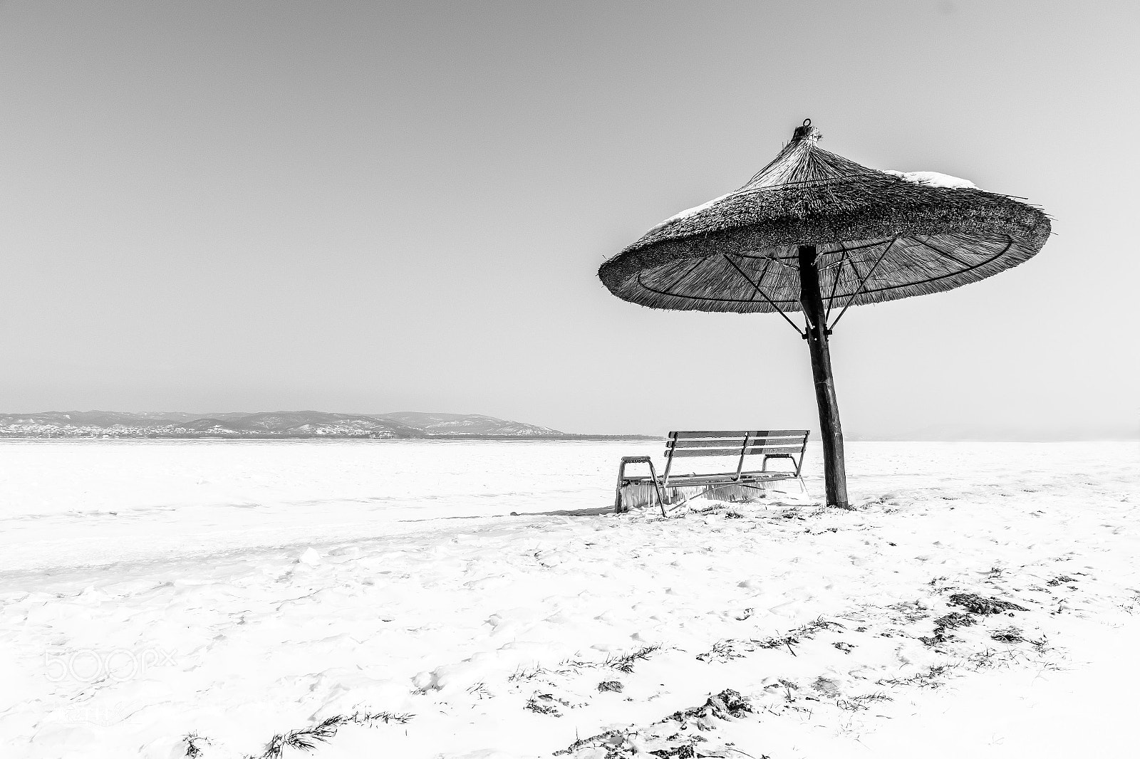 Canon EOS 7D Mark II sample photo. Untitled photography