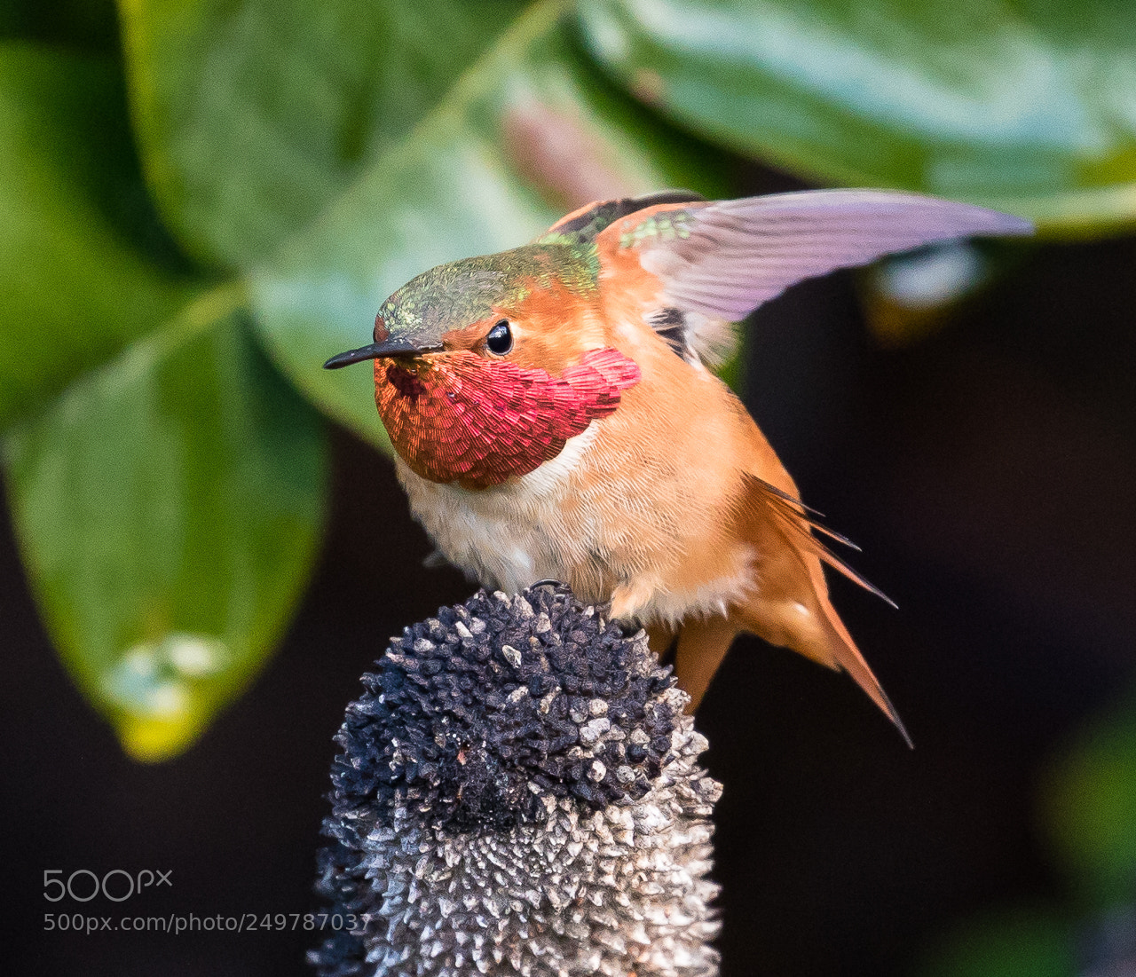 Canon EOS 7D Mark II sample photo. Preparing for takeoff photography