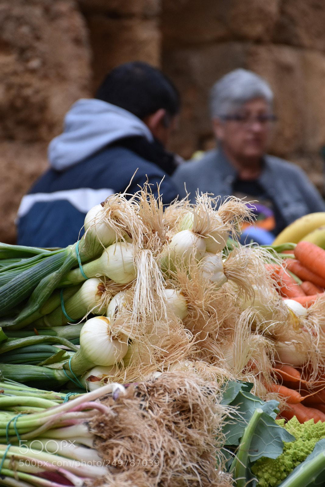 Nikon D5600 sample photo. Onion photography