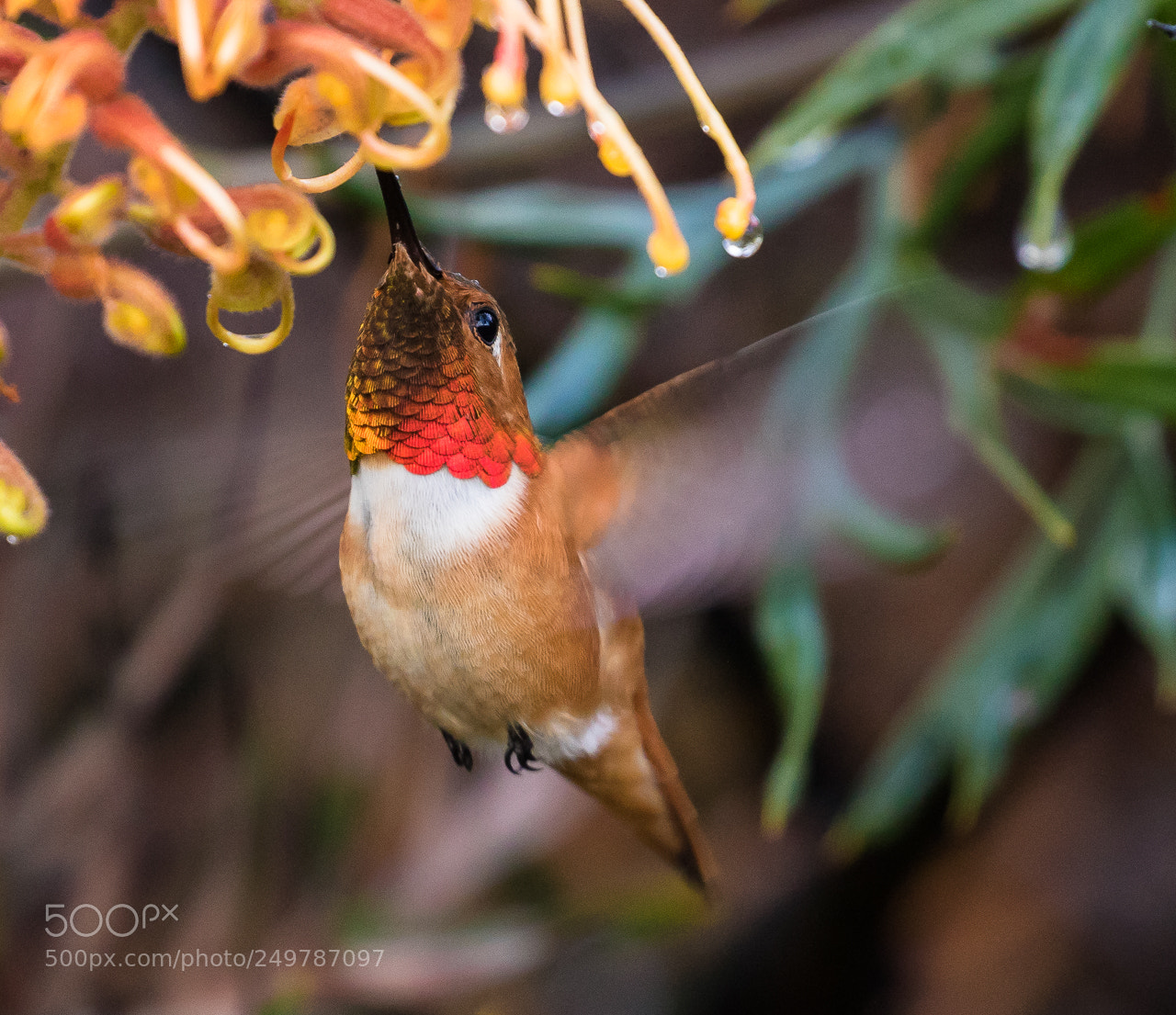 Canon EOS 7D Mark II sample photo. Getting a meal photography